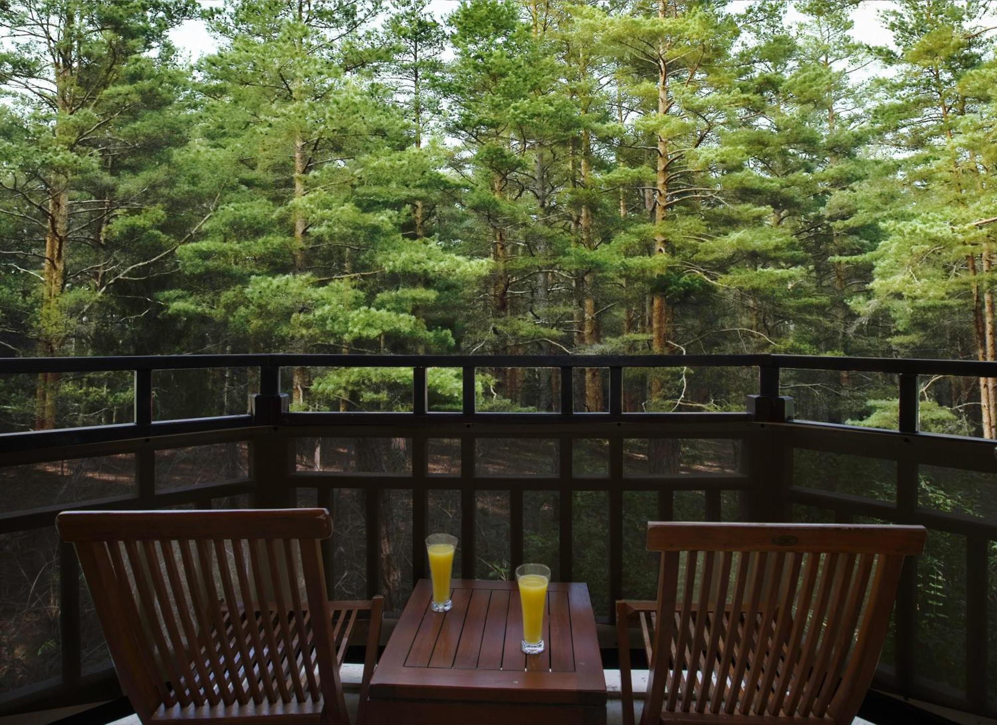 Nature Standard Room