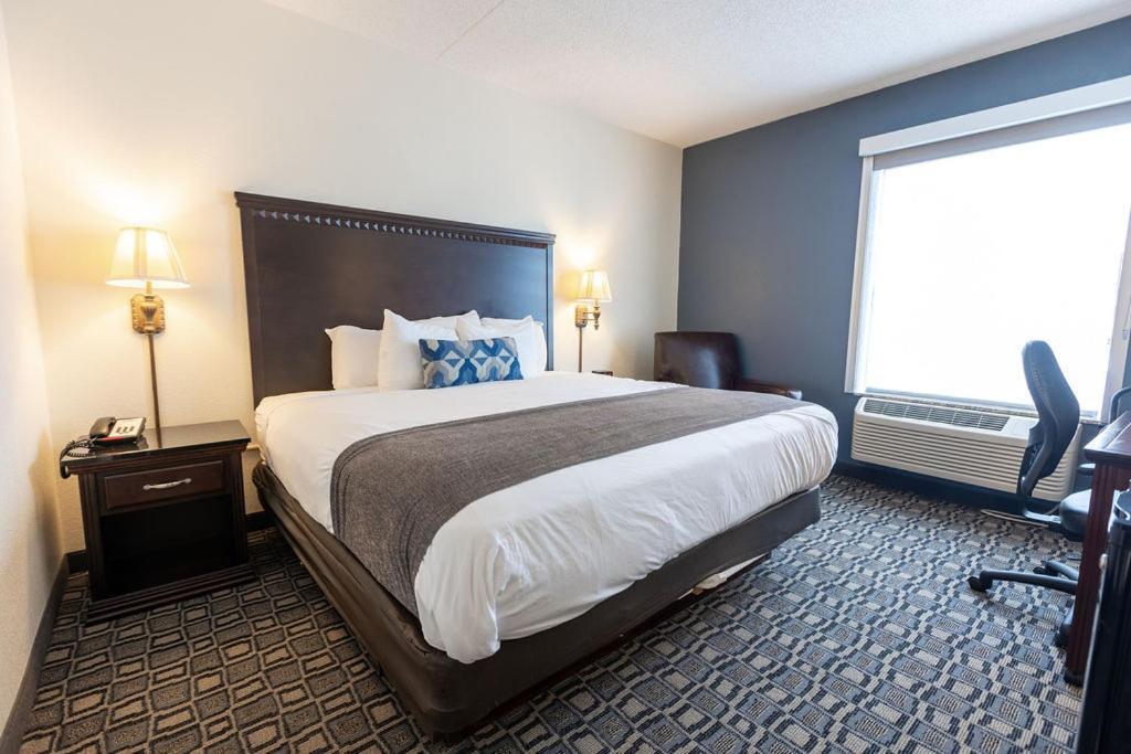 King Room