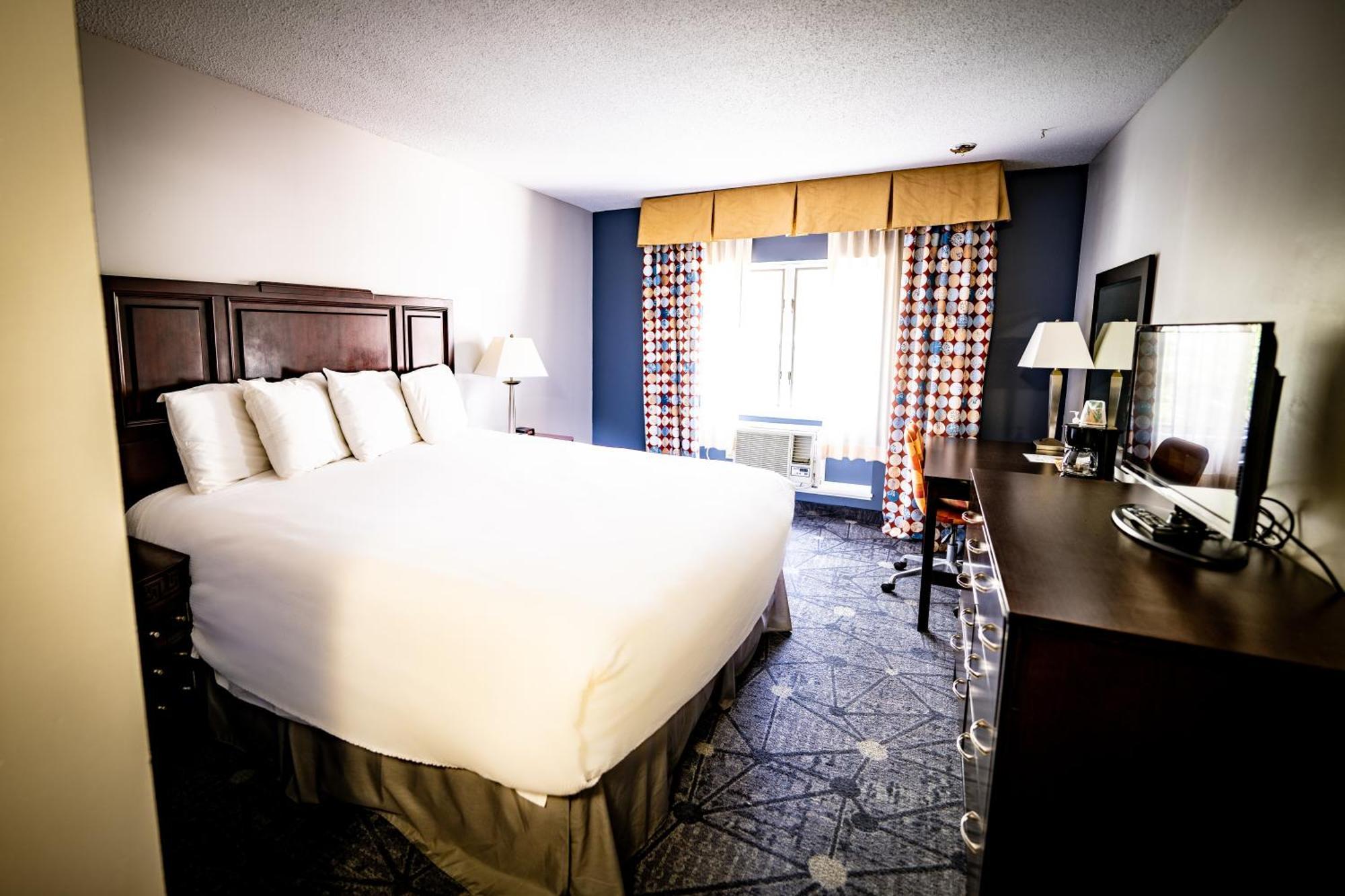 Deluxe King Suite