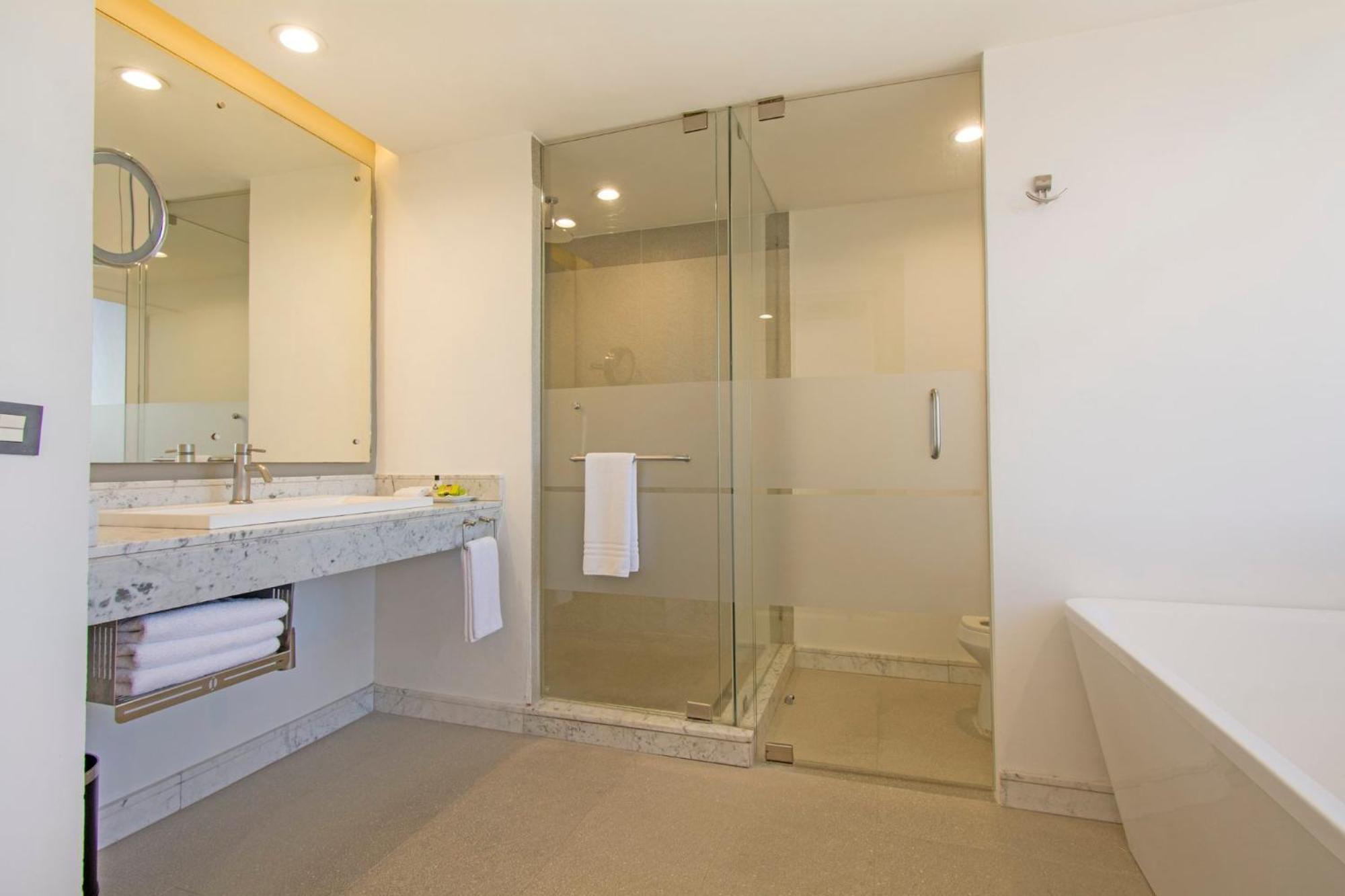 Premium King Room