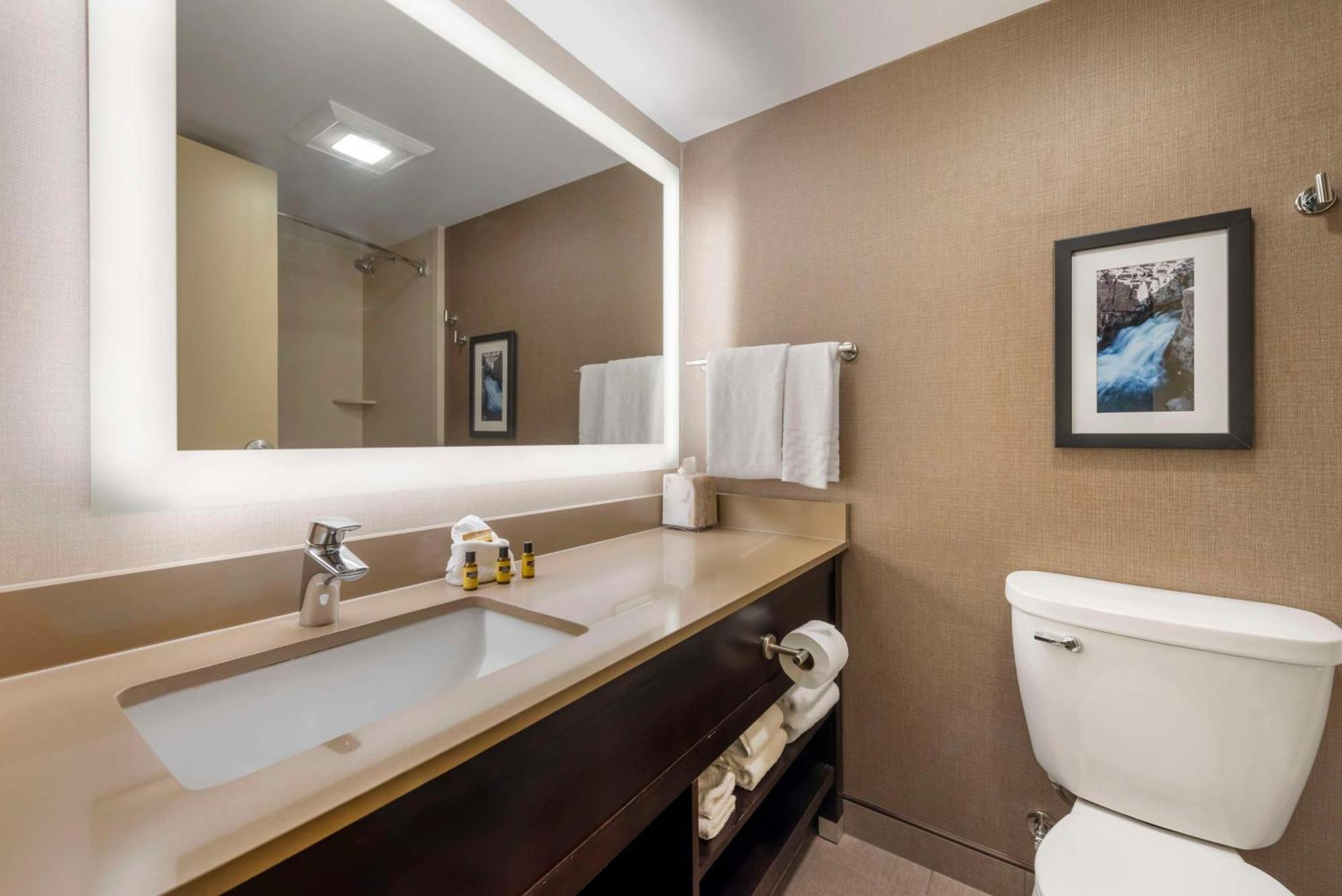 Standard King Suite with Sofa Bed - Non-Smoking