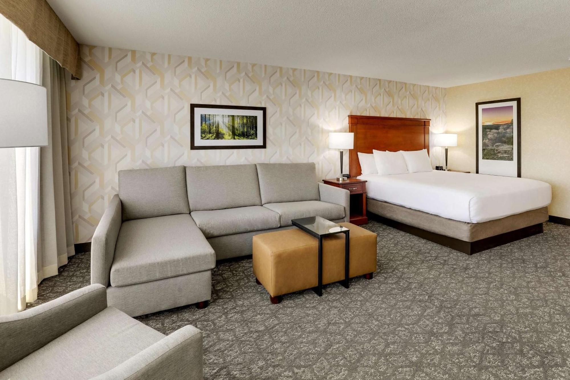 Superior King Room Sofa Bed