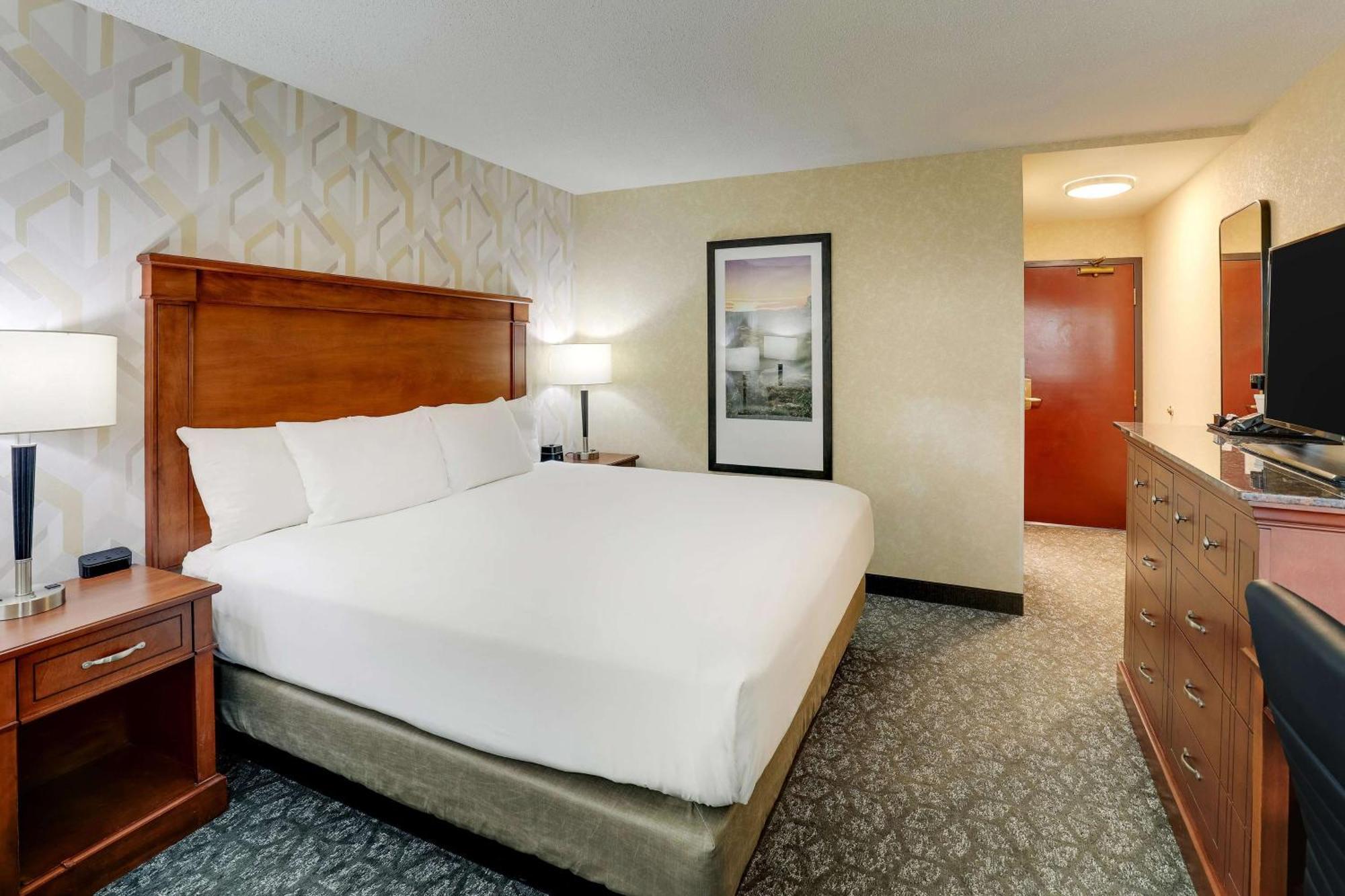 Deluxe King Room Accessible Roll Shower