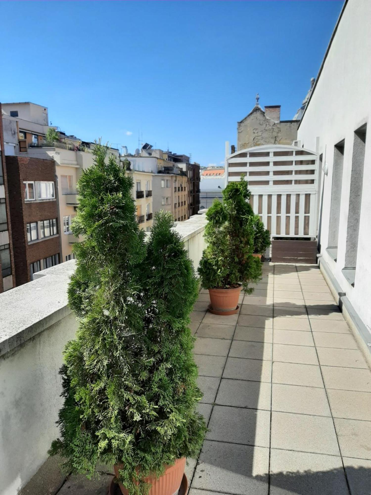 3-Bedroom Penthouse Apartment Rooftop Terrace