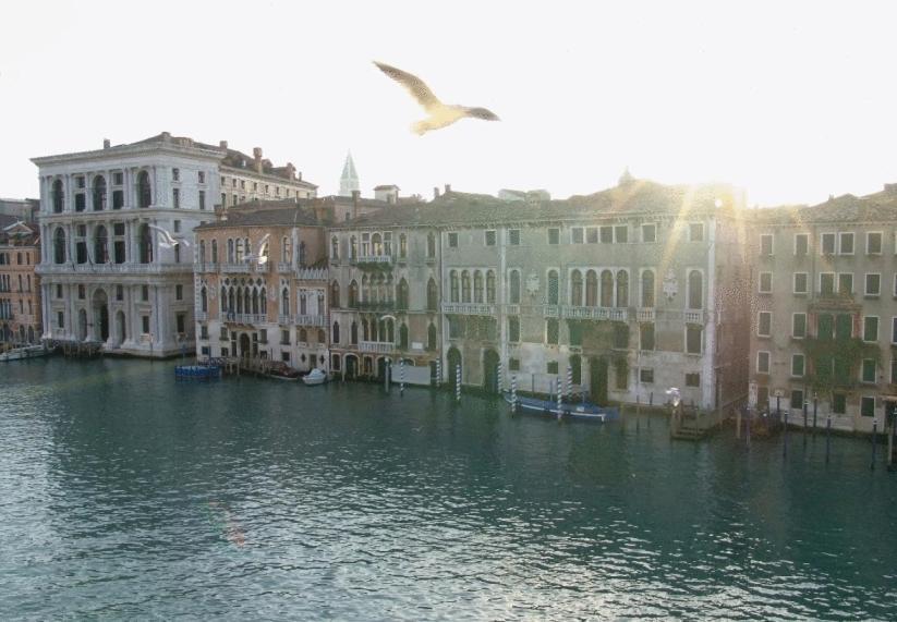 Junior Suite Grand Canal View