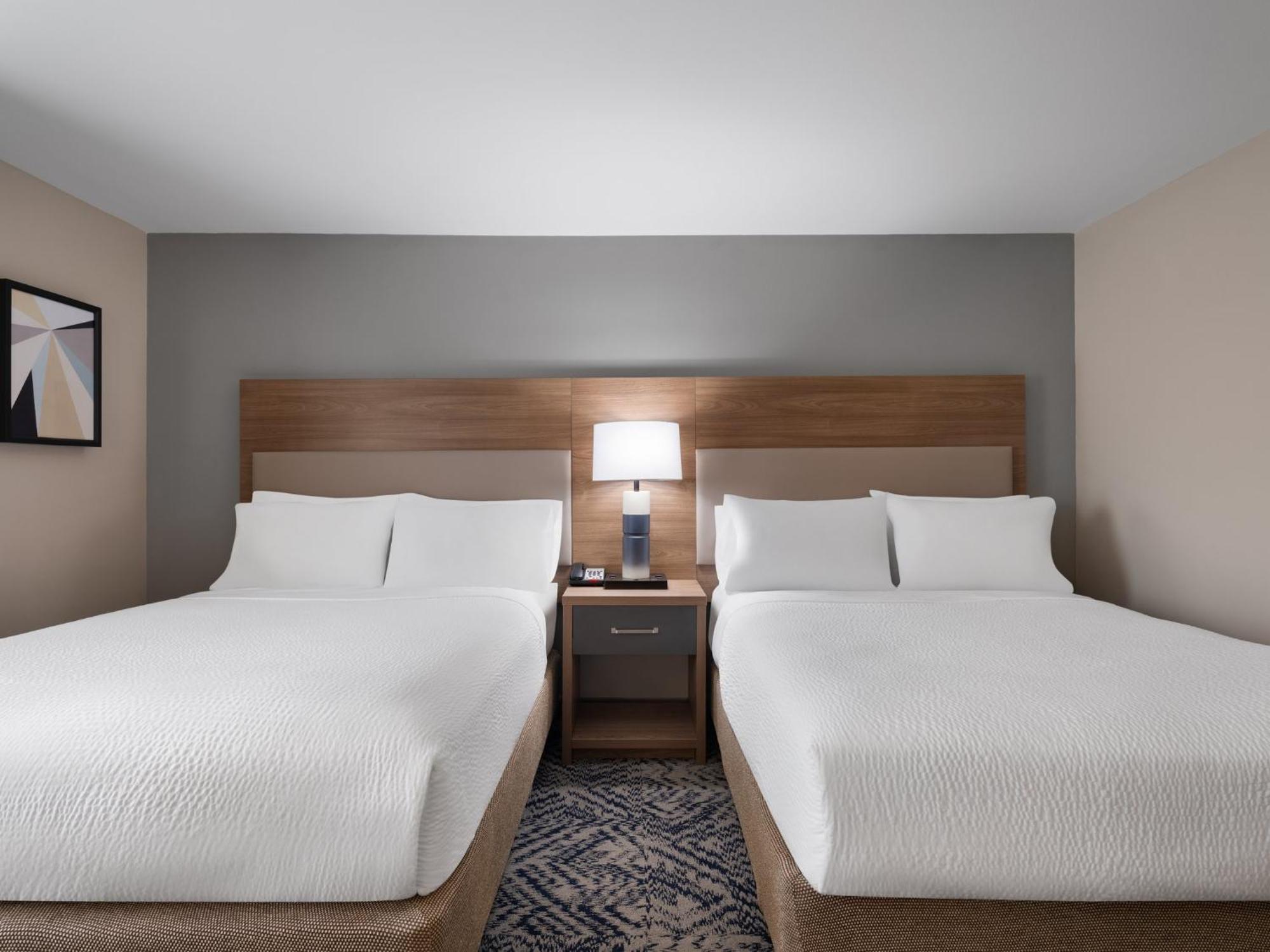 Studio Suite Two Queen Beds