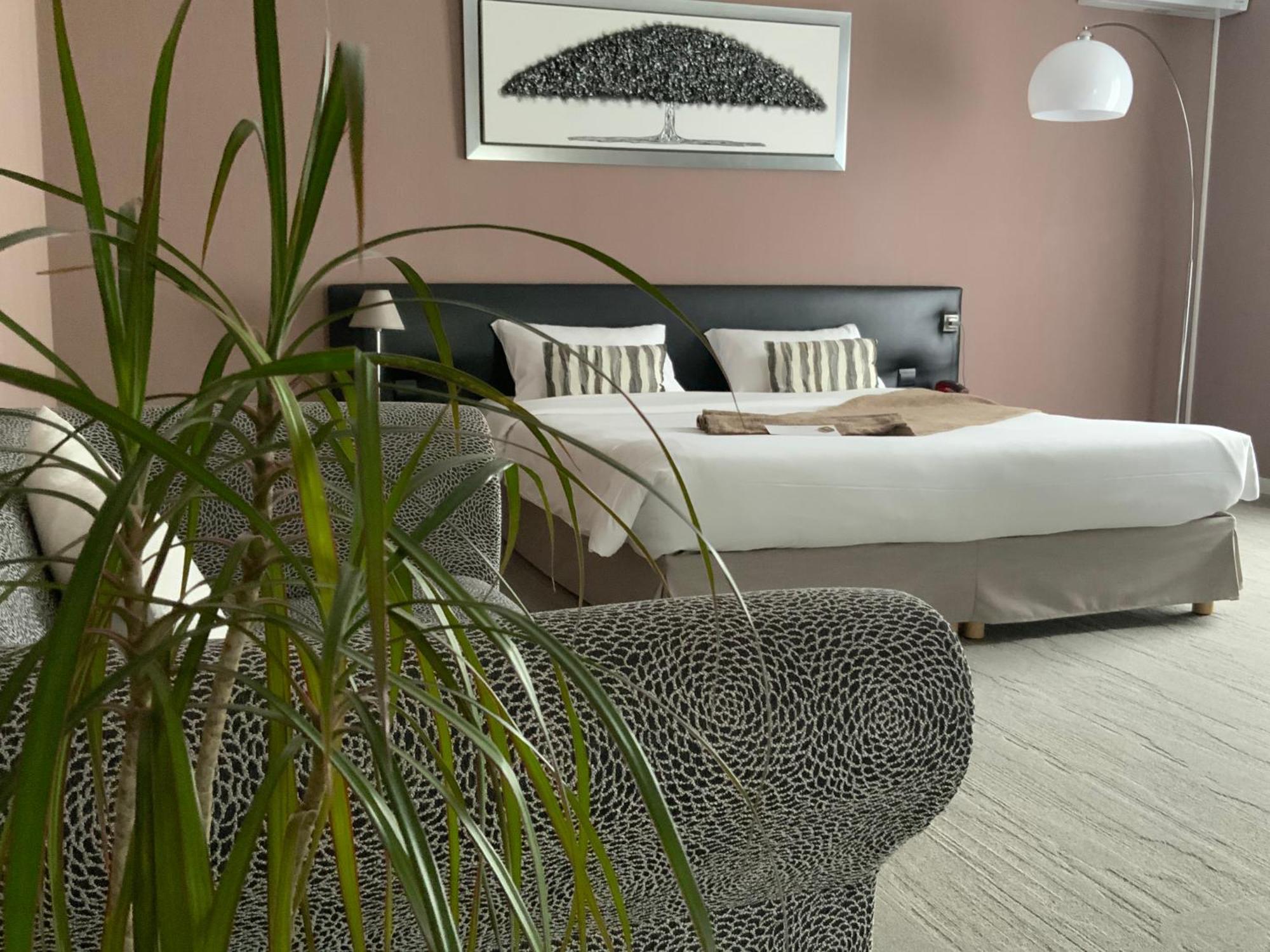 Suite Terrace