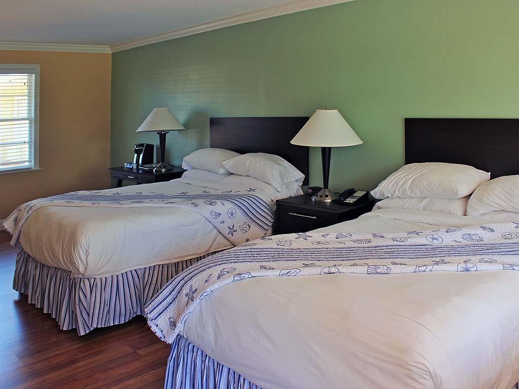 Standard Double Room with Two Double Beds