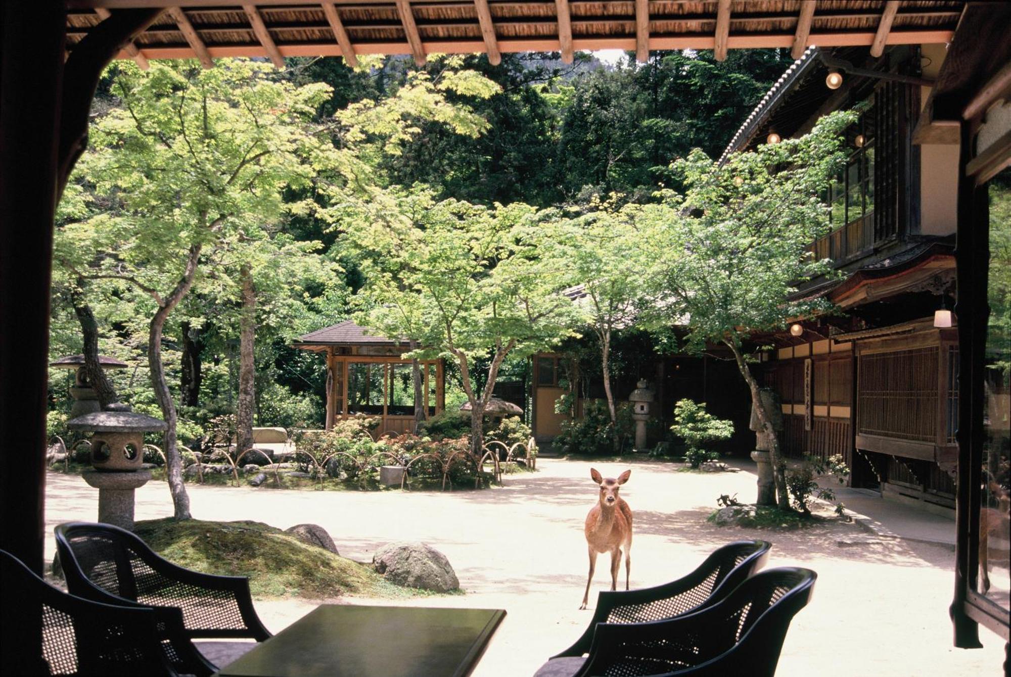 Japanese-Style Room New Building