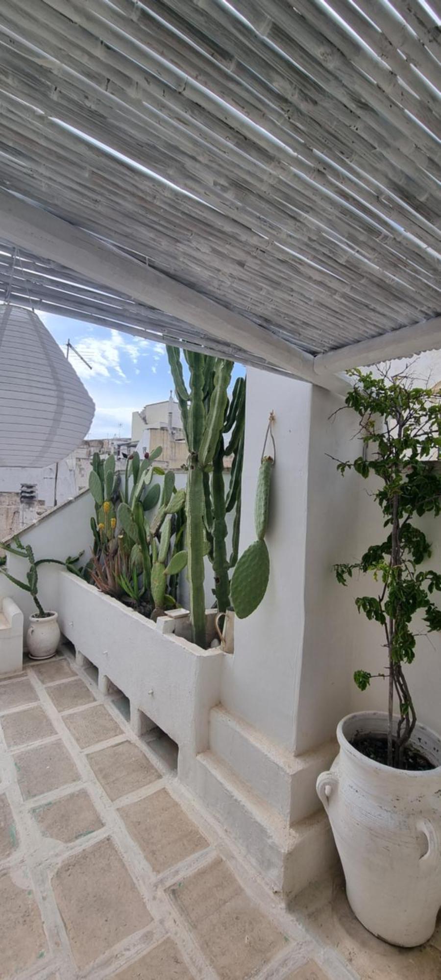 Double Room Terrace