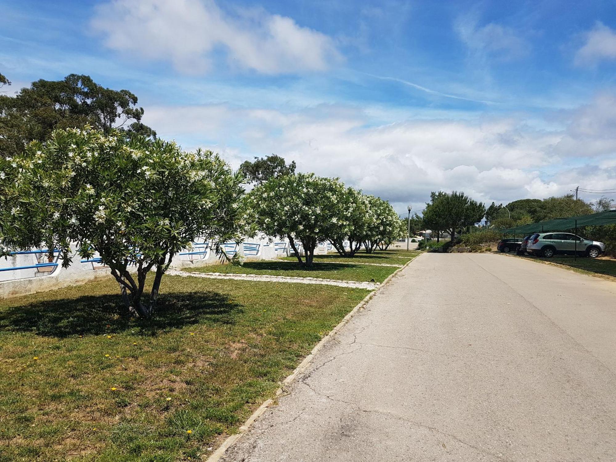 Apartment Garden View