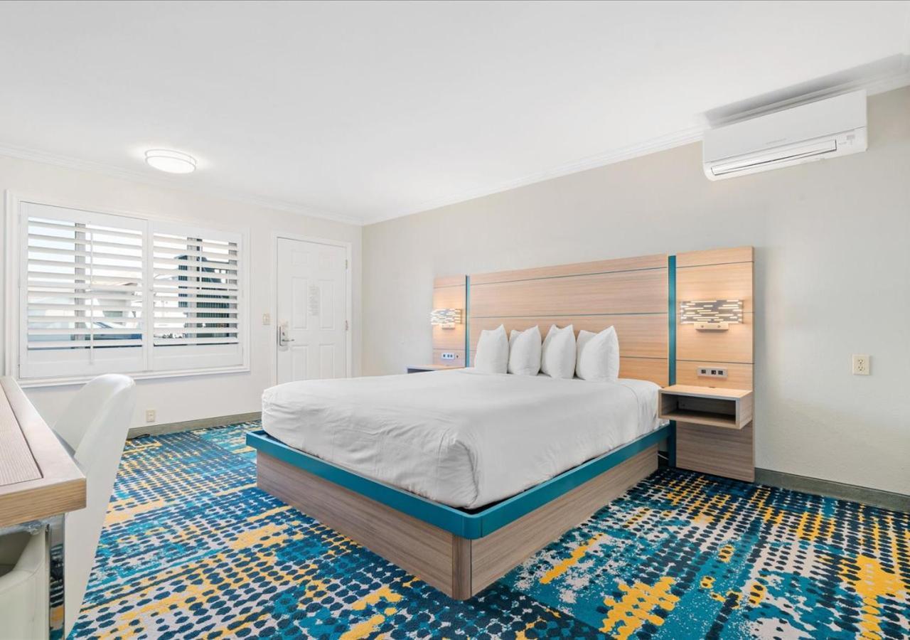 King Room Ocean View