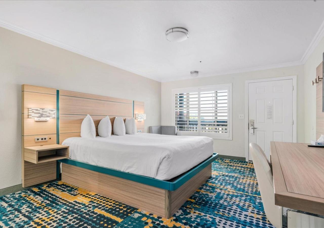 King Room Disability Access