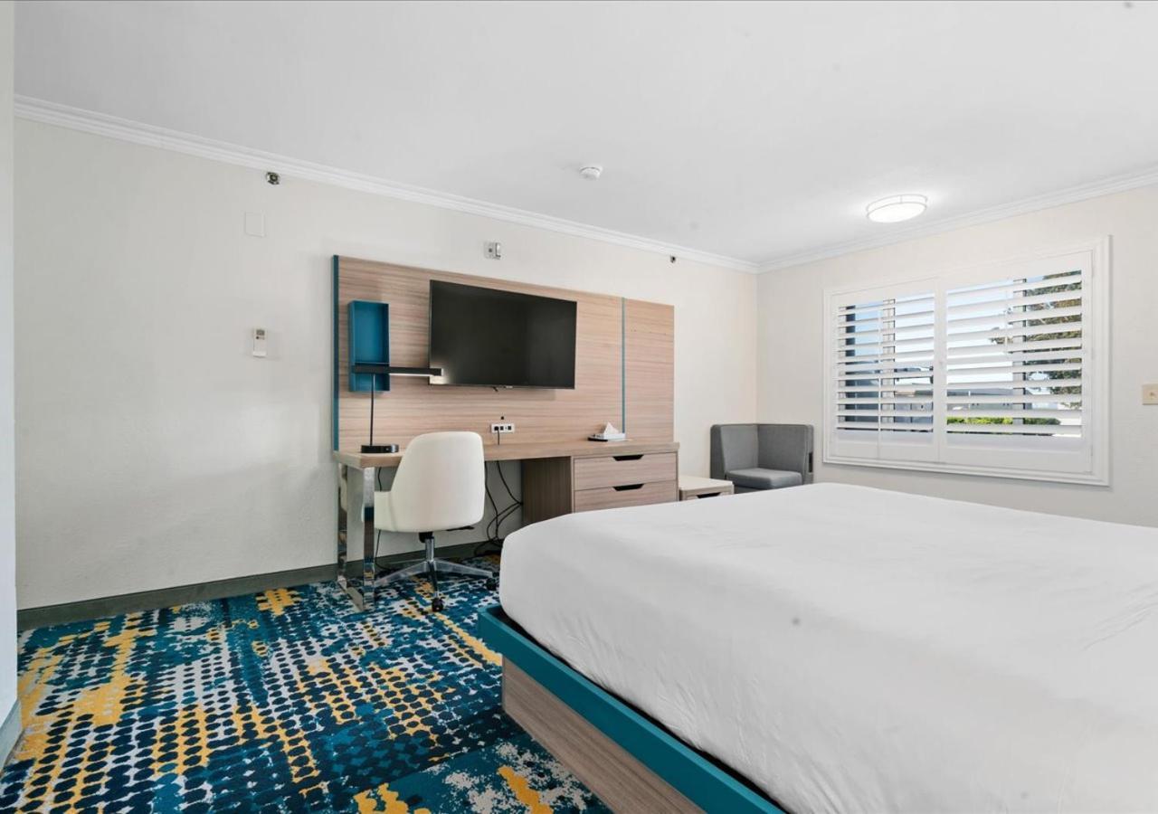 King Room Ocean View
