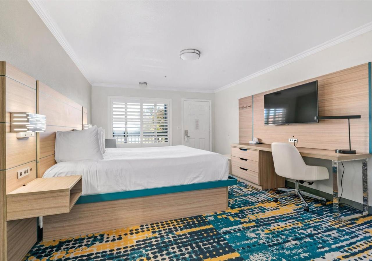 King Room Disability Access