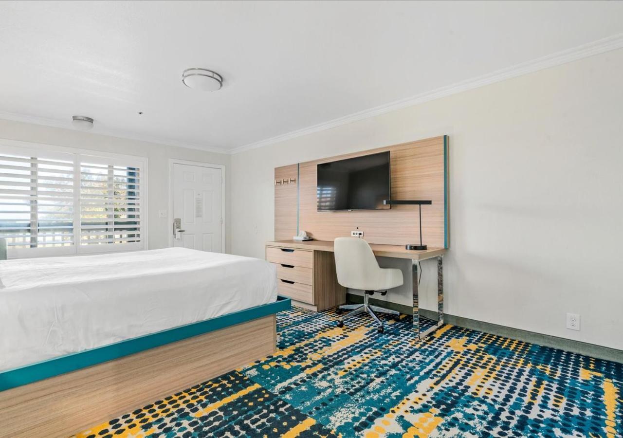 King Room Ocean View