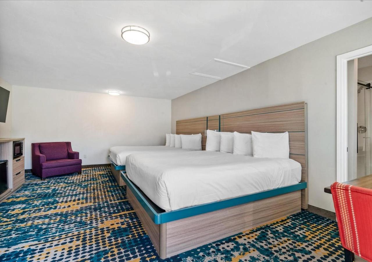 King Room Two King Beds
