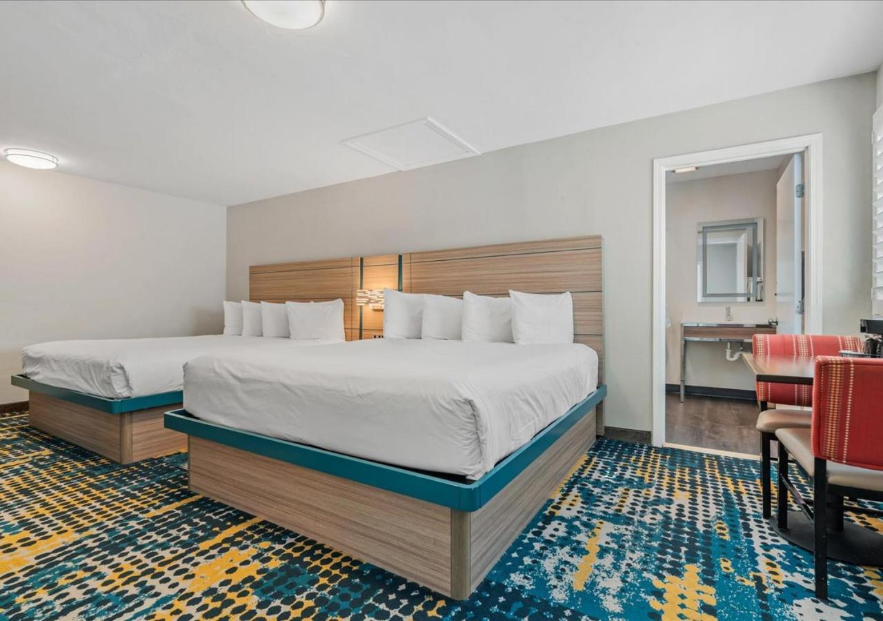 King Room Two King Beds