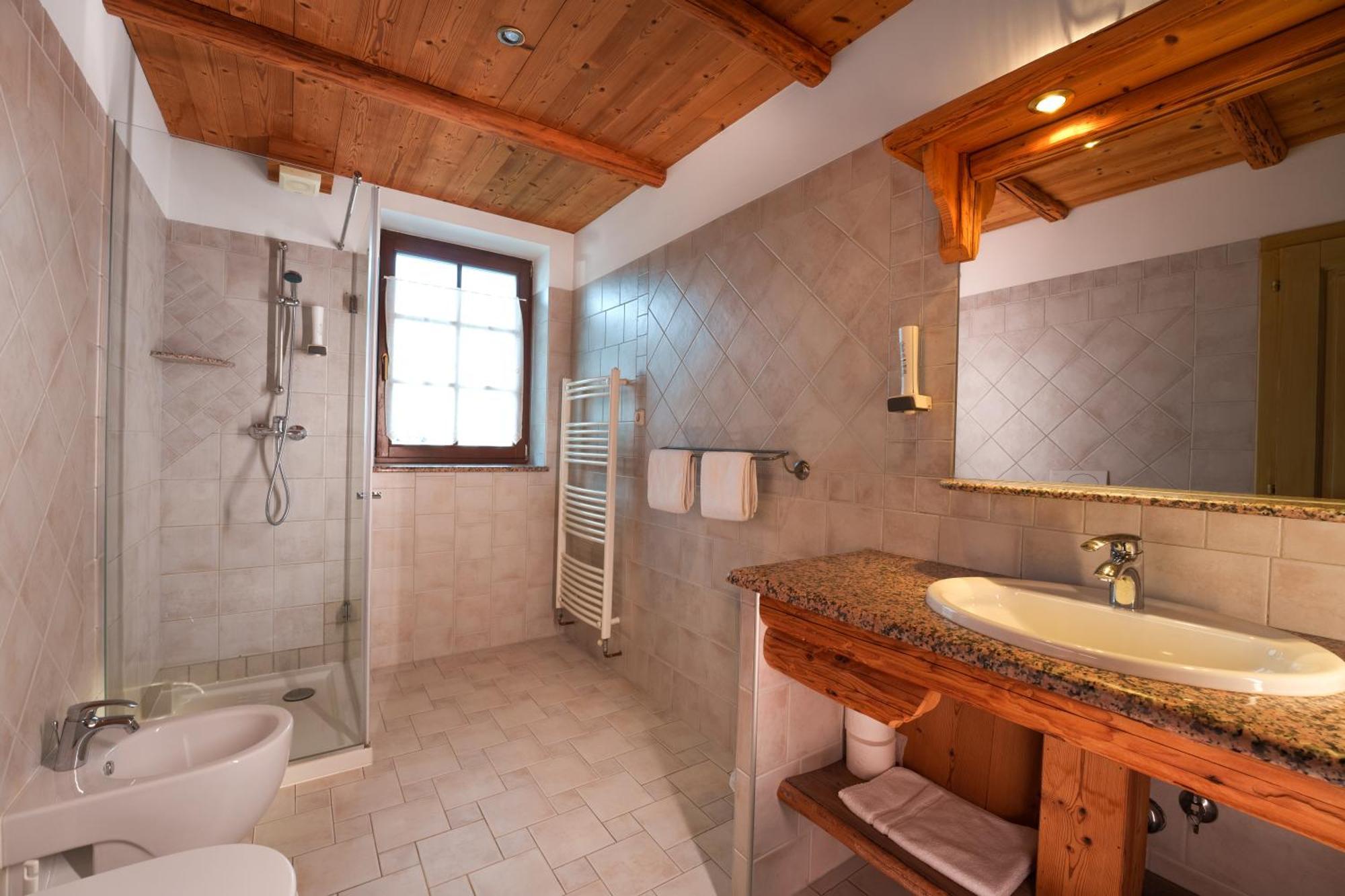 Double or Twin Room Mountain View