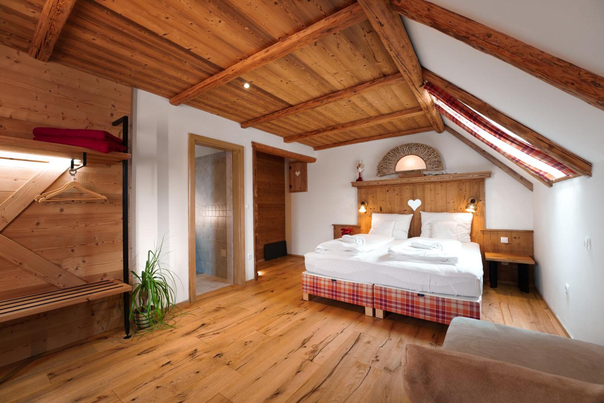 Double or Twin Room Mountain View