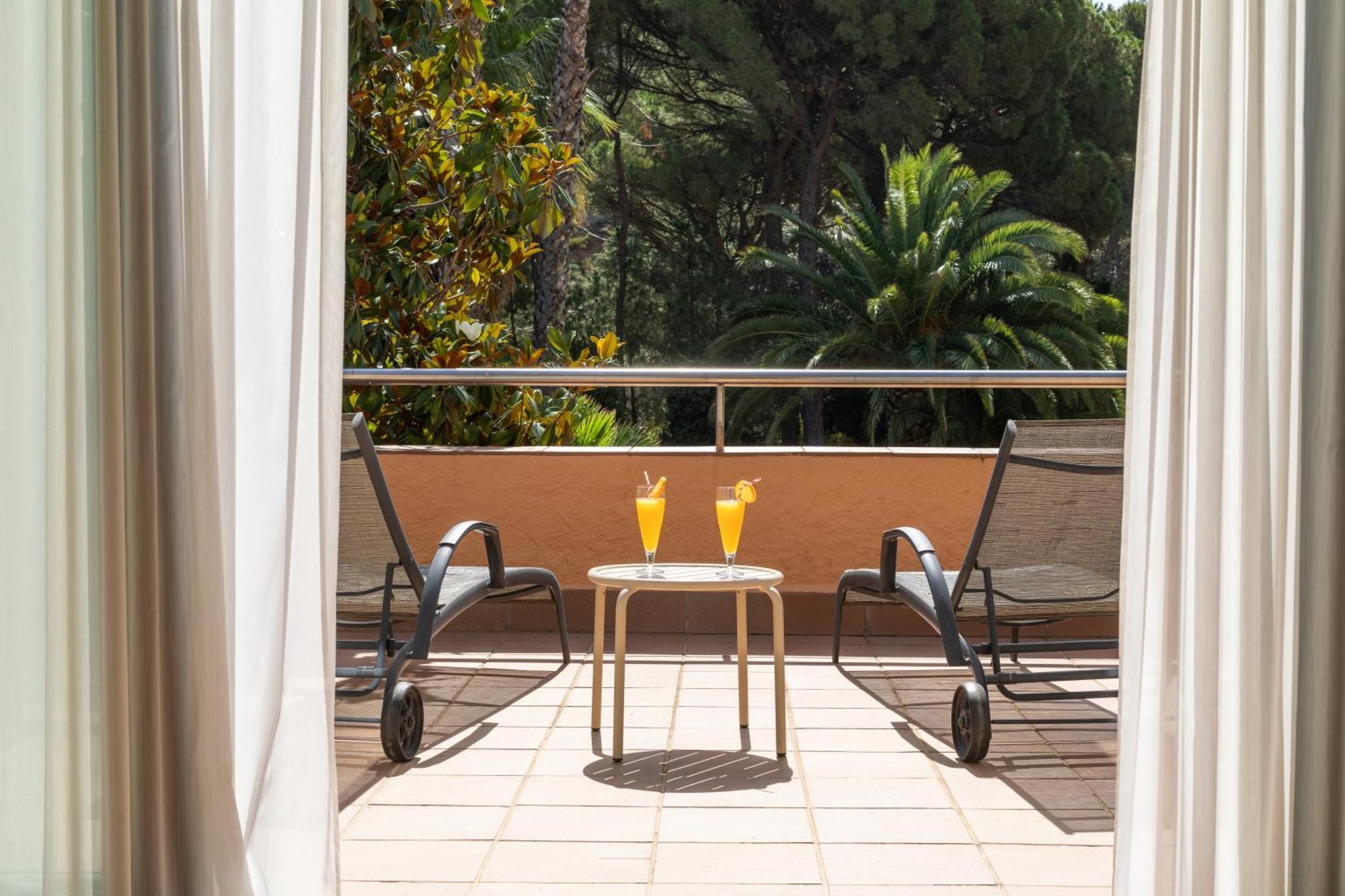 Junior Suite Terrace
