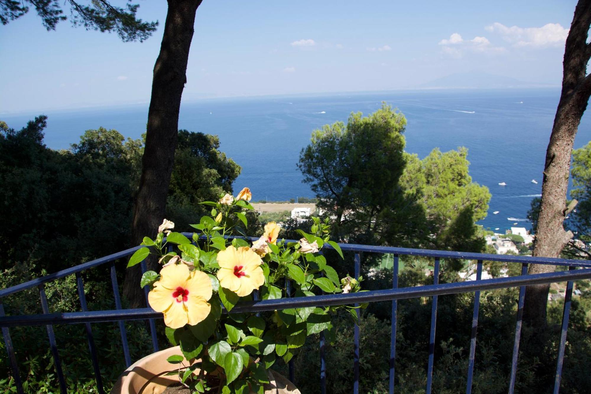 Double Room Garden View