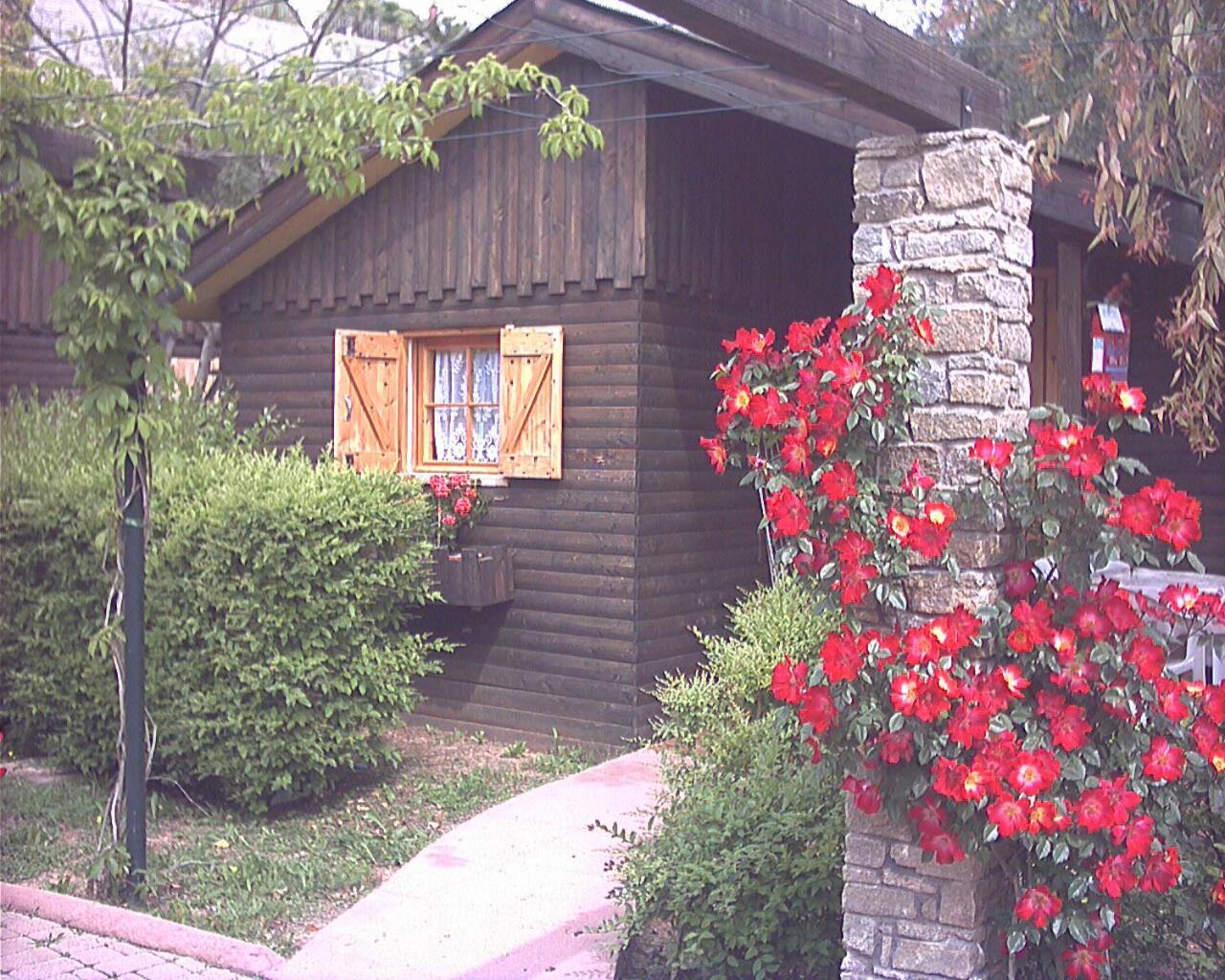 Bungalow Patio
