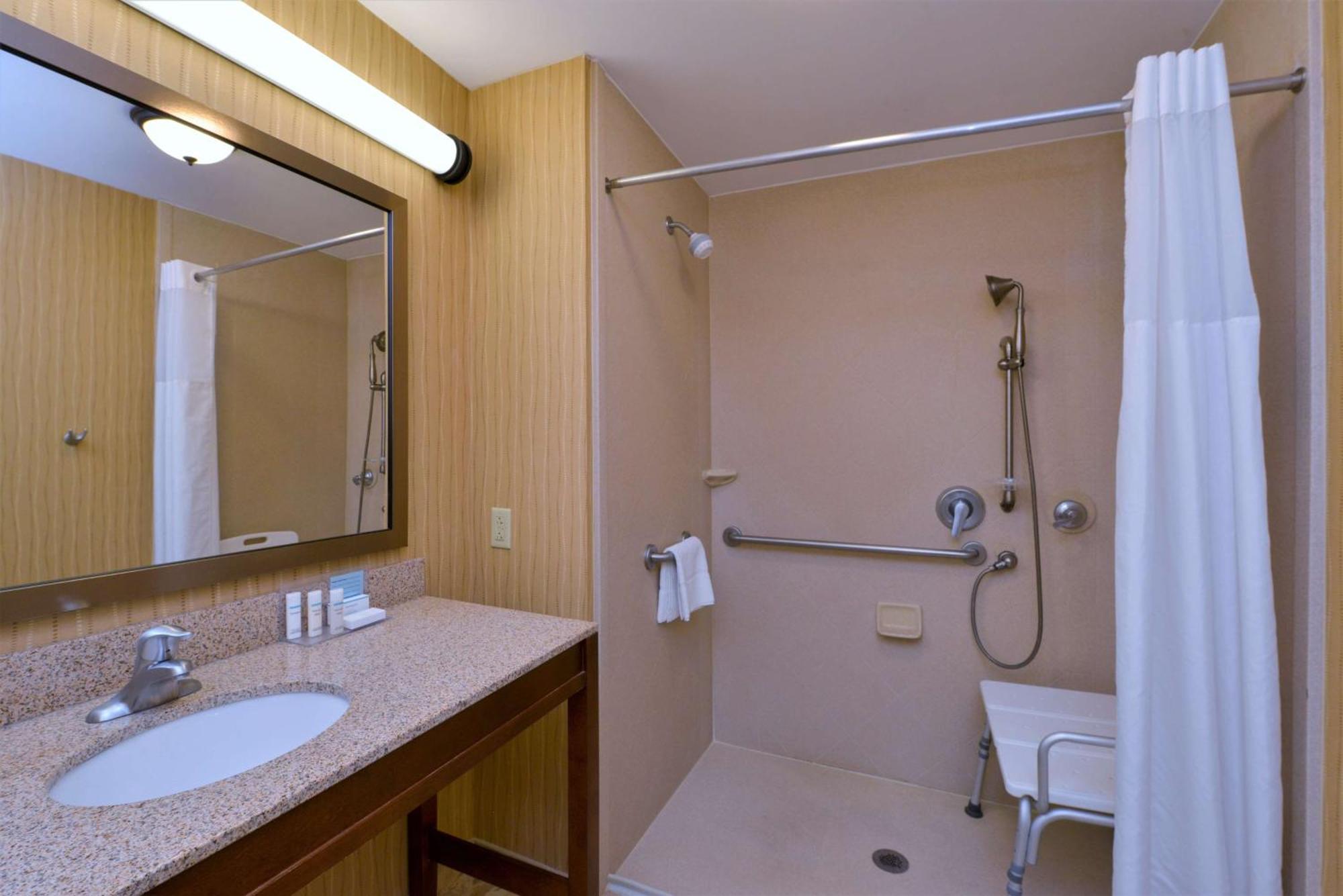 King Room Roll Shower Mobility Hearing Access or Non-Smoking
