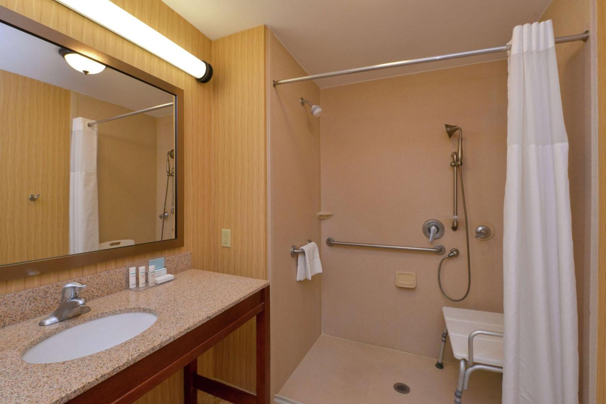 King Room Roll Shower Mobility Hearing Access or Non-Smoking