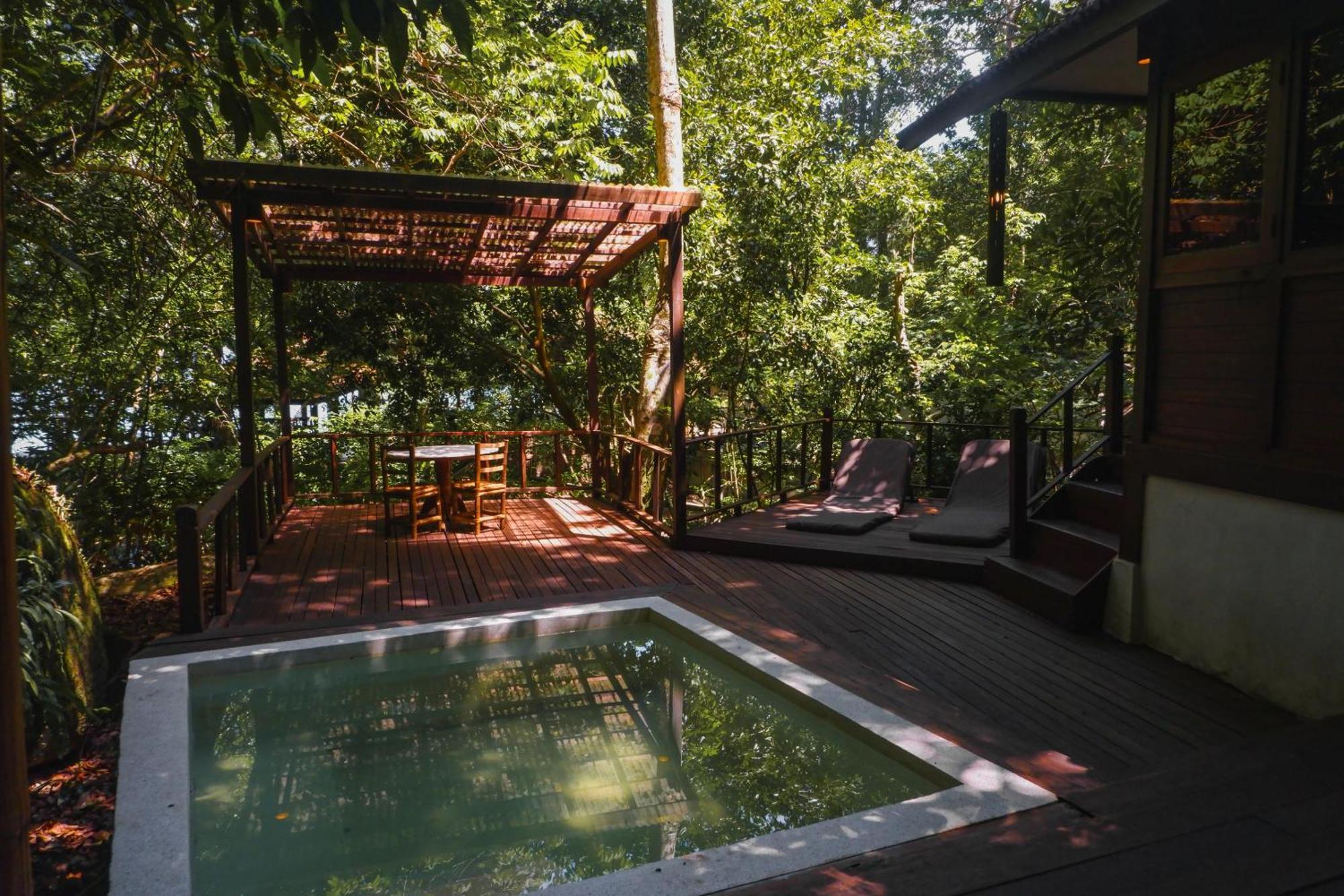 Jungle Luxe Sarang Terrace Plunge Pool