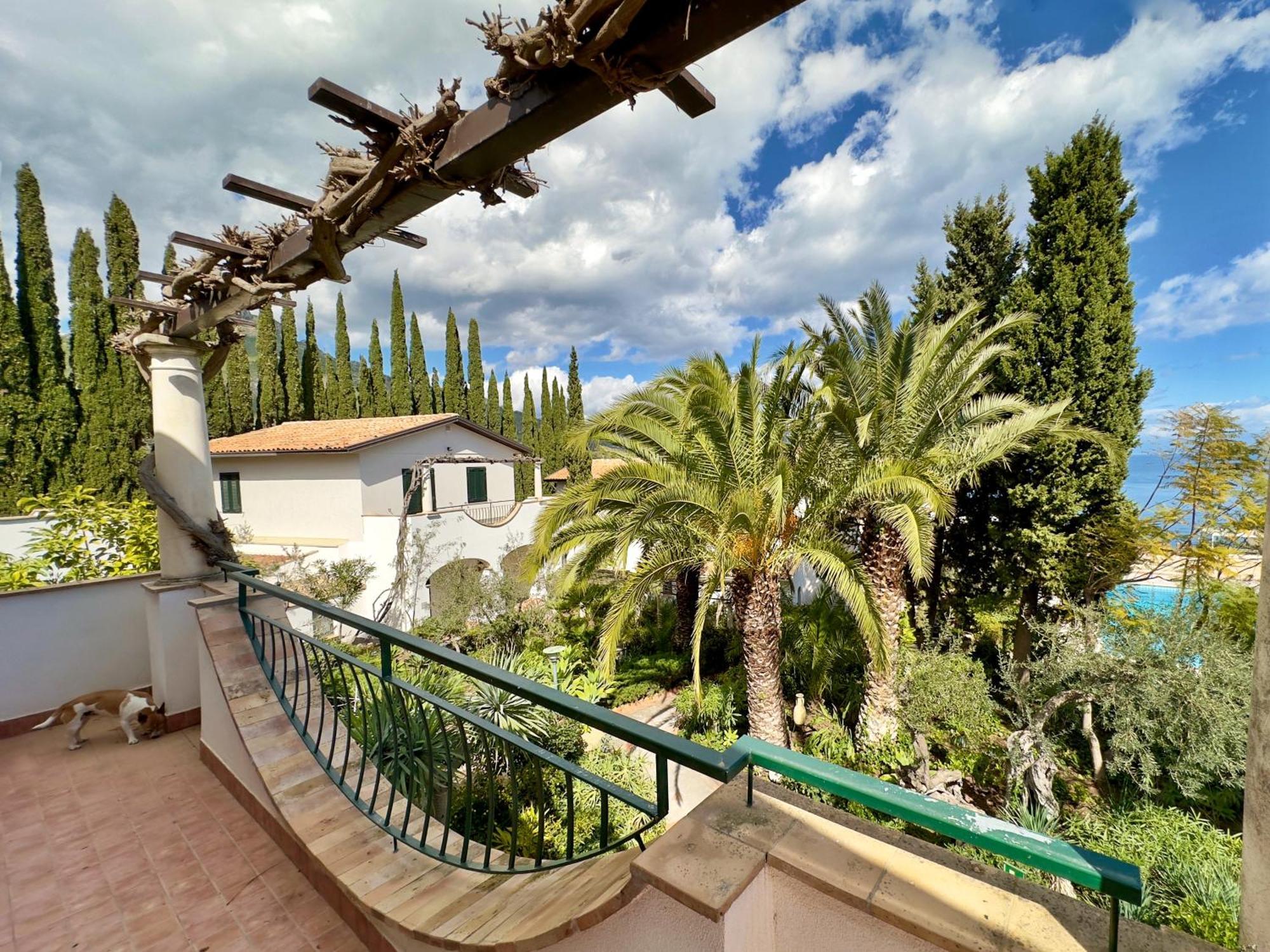 Apartment Terrace