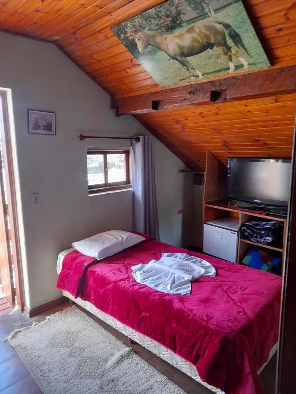 Suite Apartment