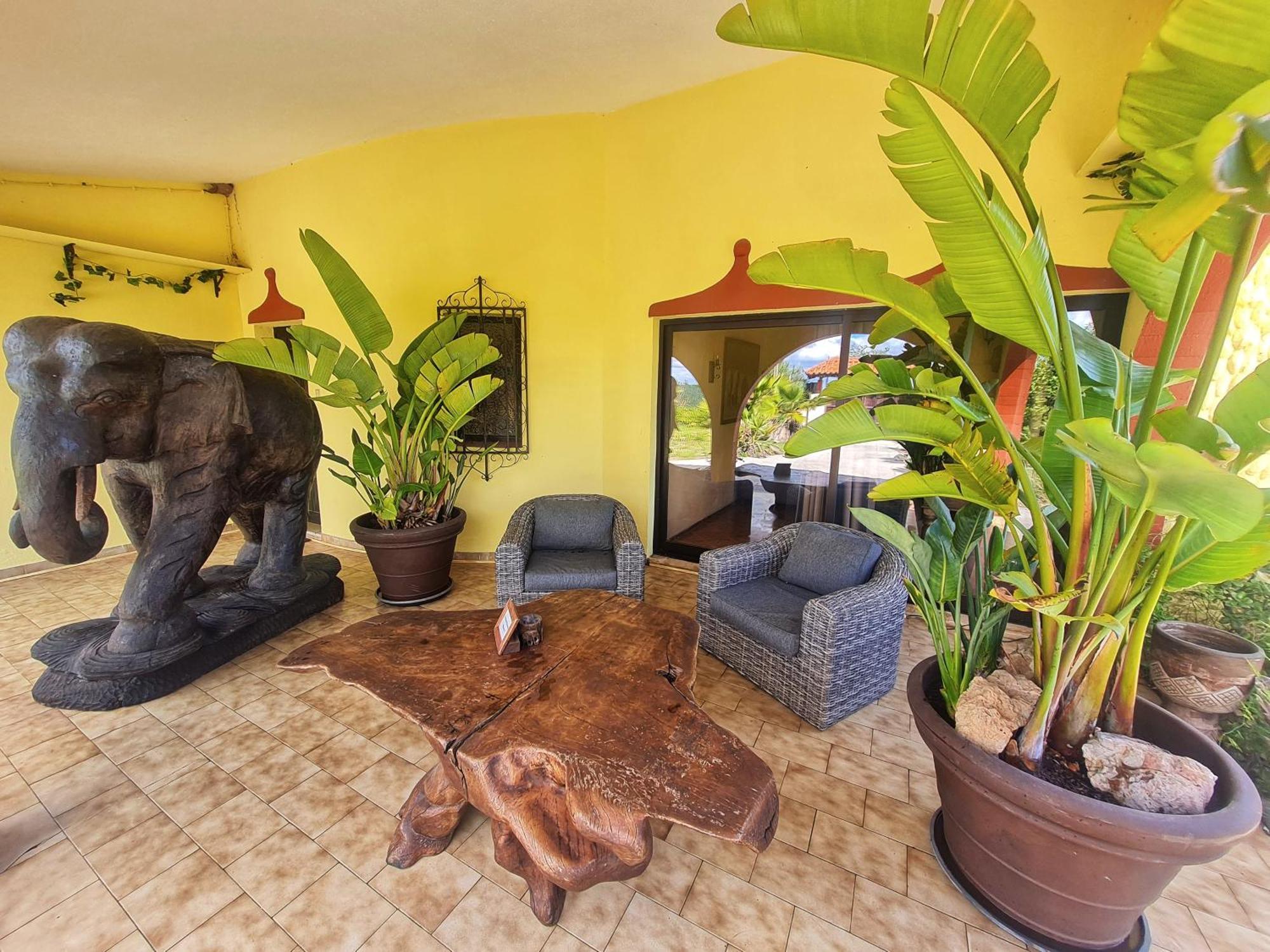 Suite Garden View
