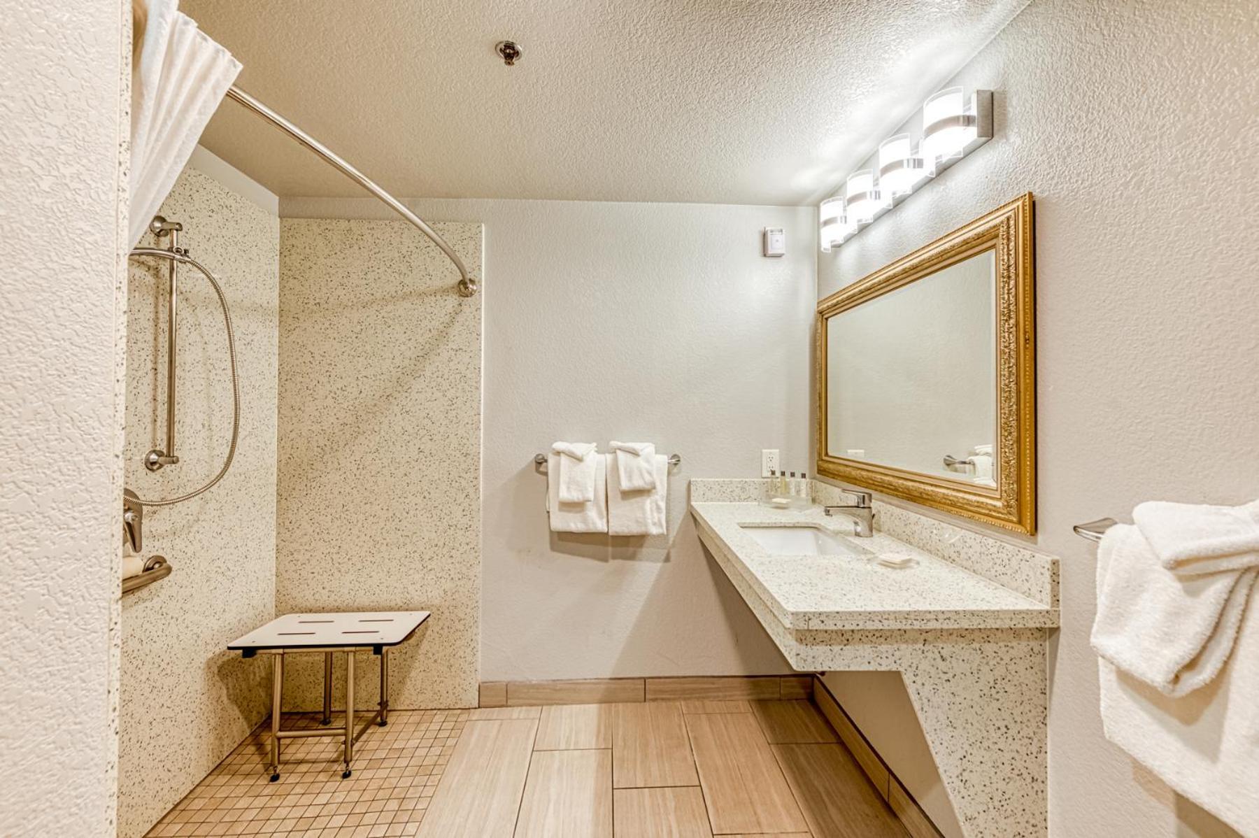 King Room Roll Shower Accessible or Non Smoking