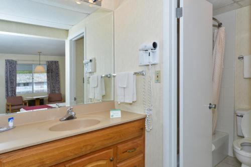 1 King Bed Deluxe Room Jetted Tub Non-Smoking