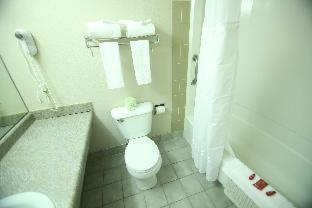King Room with Roll-In Shower - Mobility Accessible/Non-Smoking