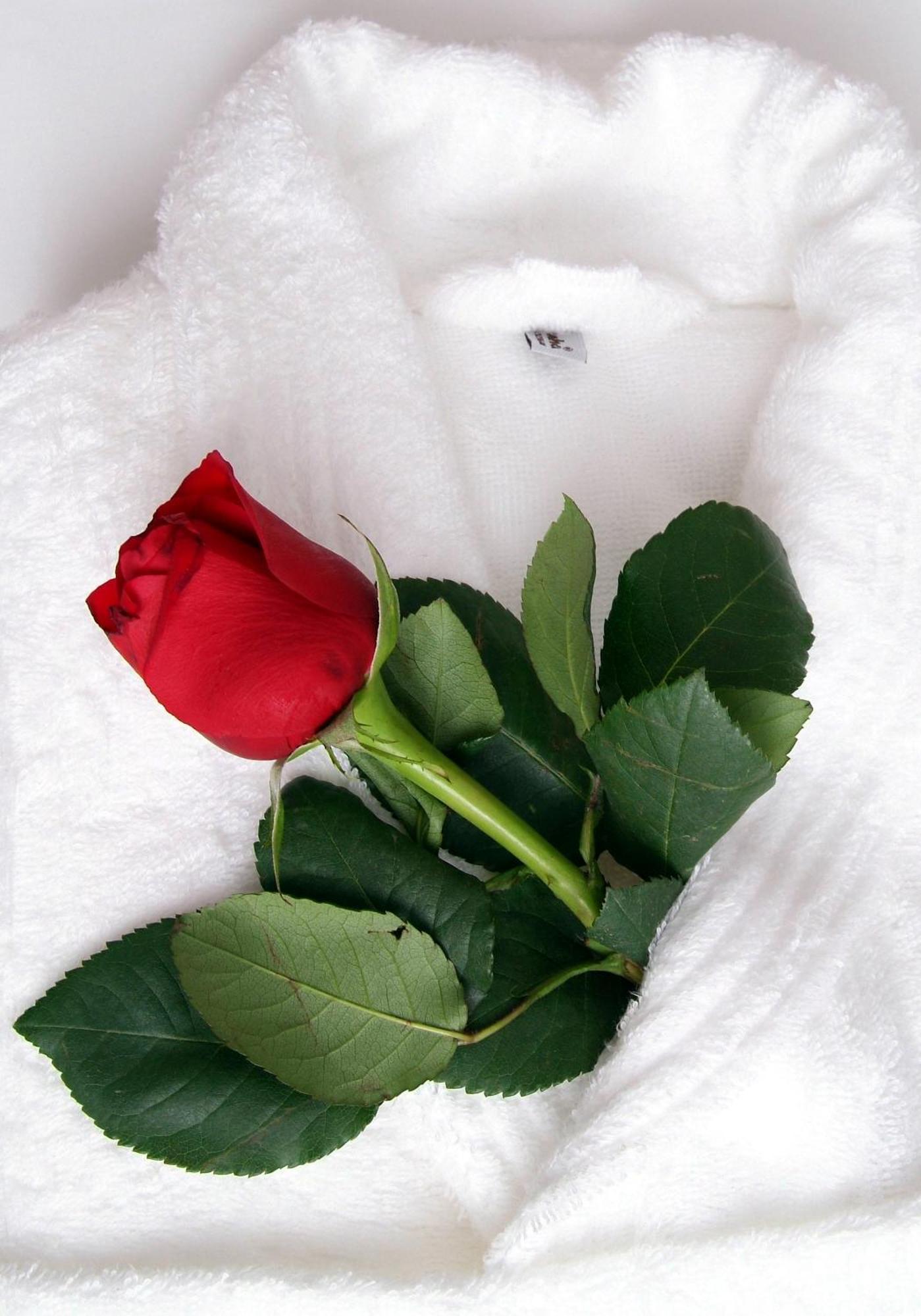 Privilege Double Room Romantic