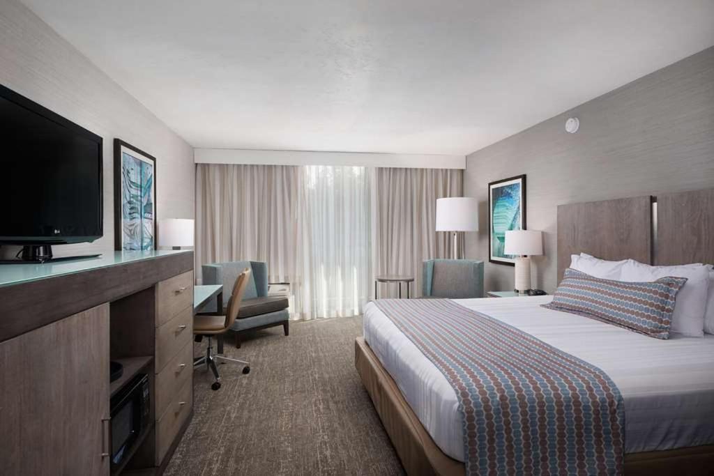 King Room Hillside View