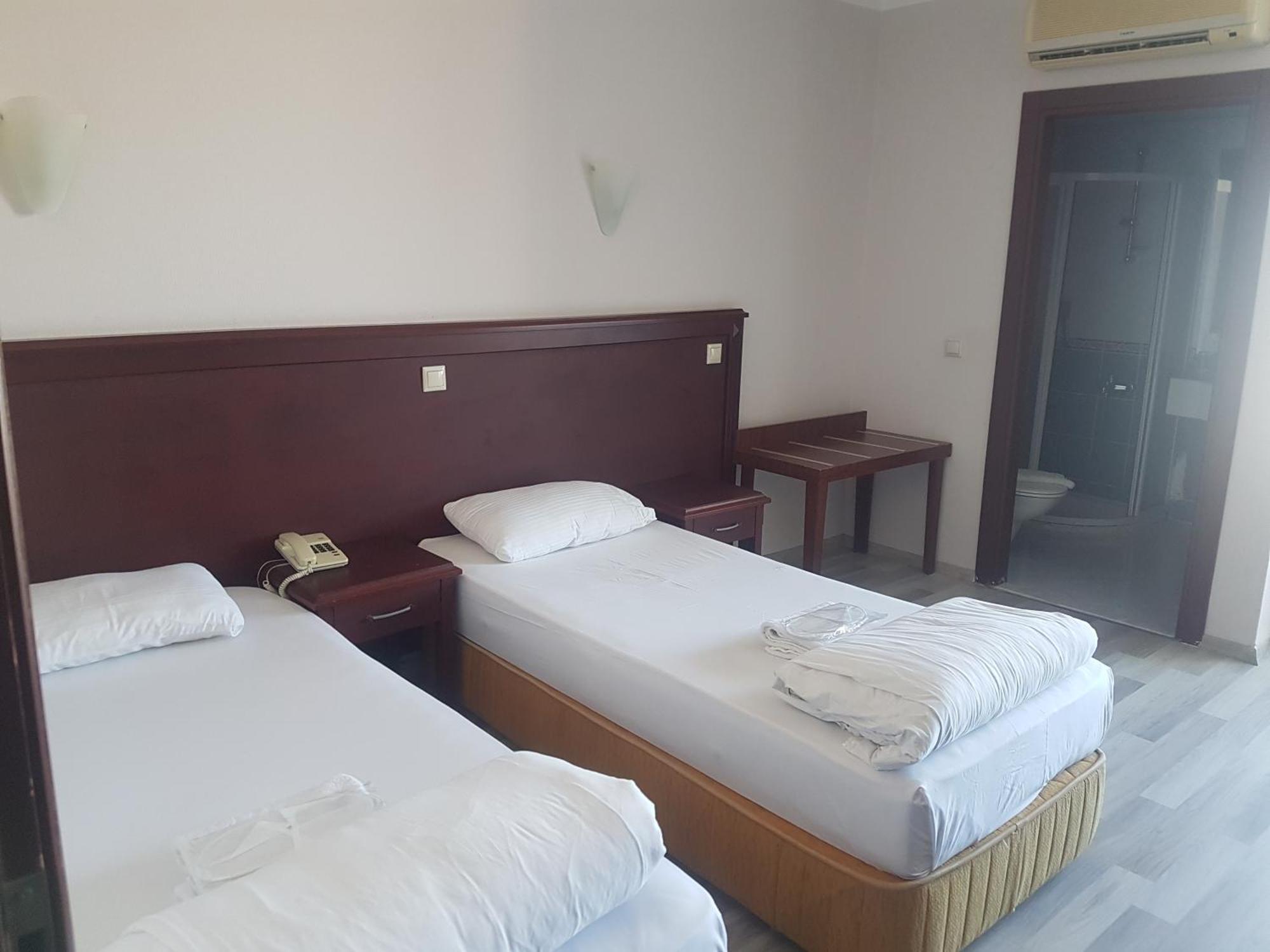 Double or Twin Room Mountain View