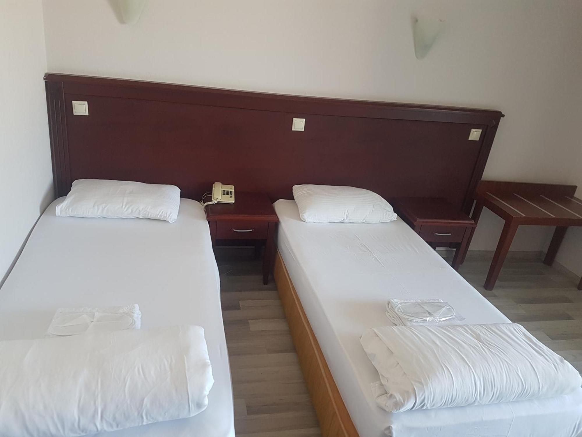 Double or Twin Room Mountain View