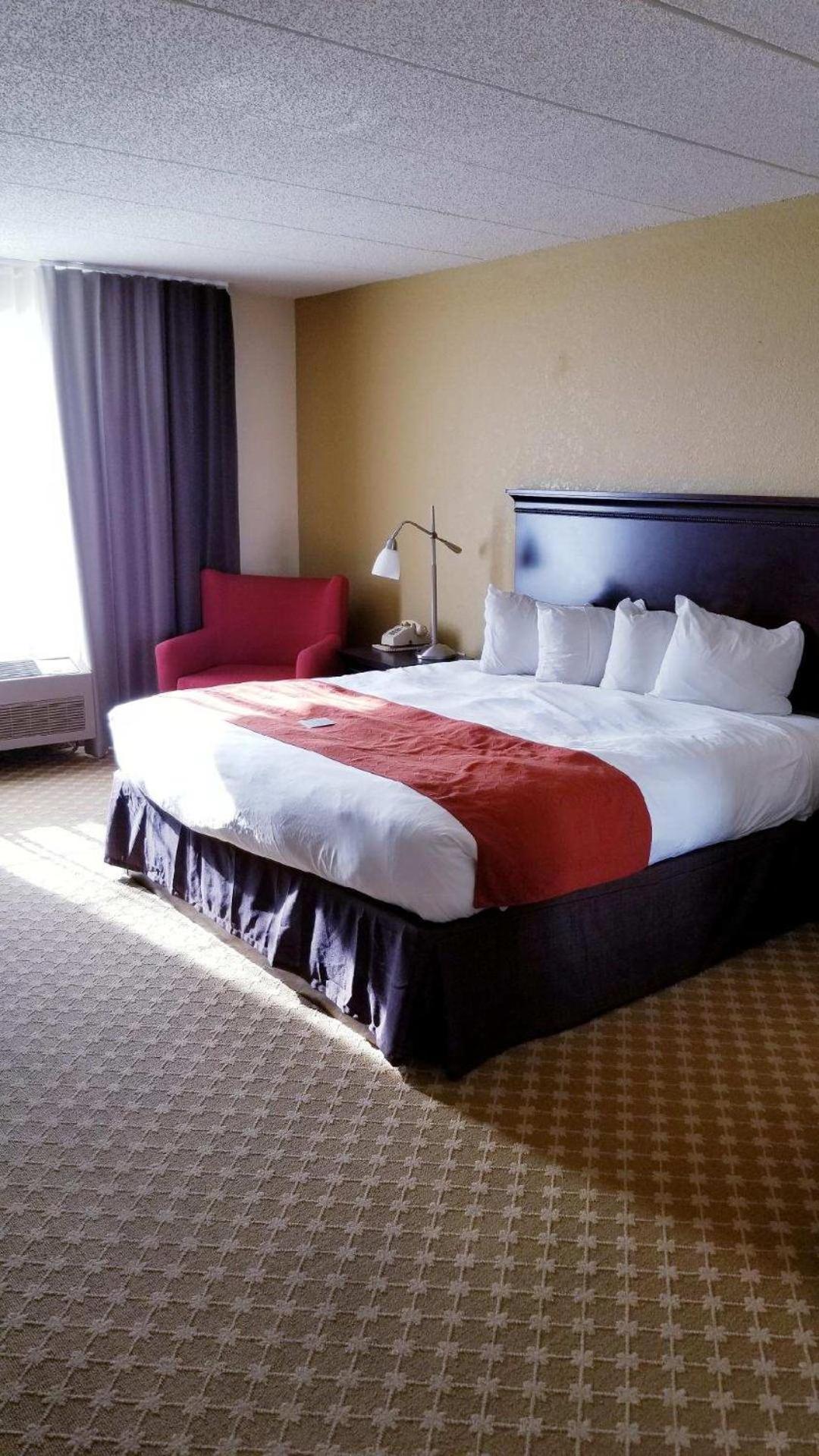 King Room Disability Access