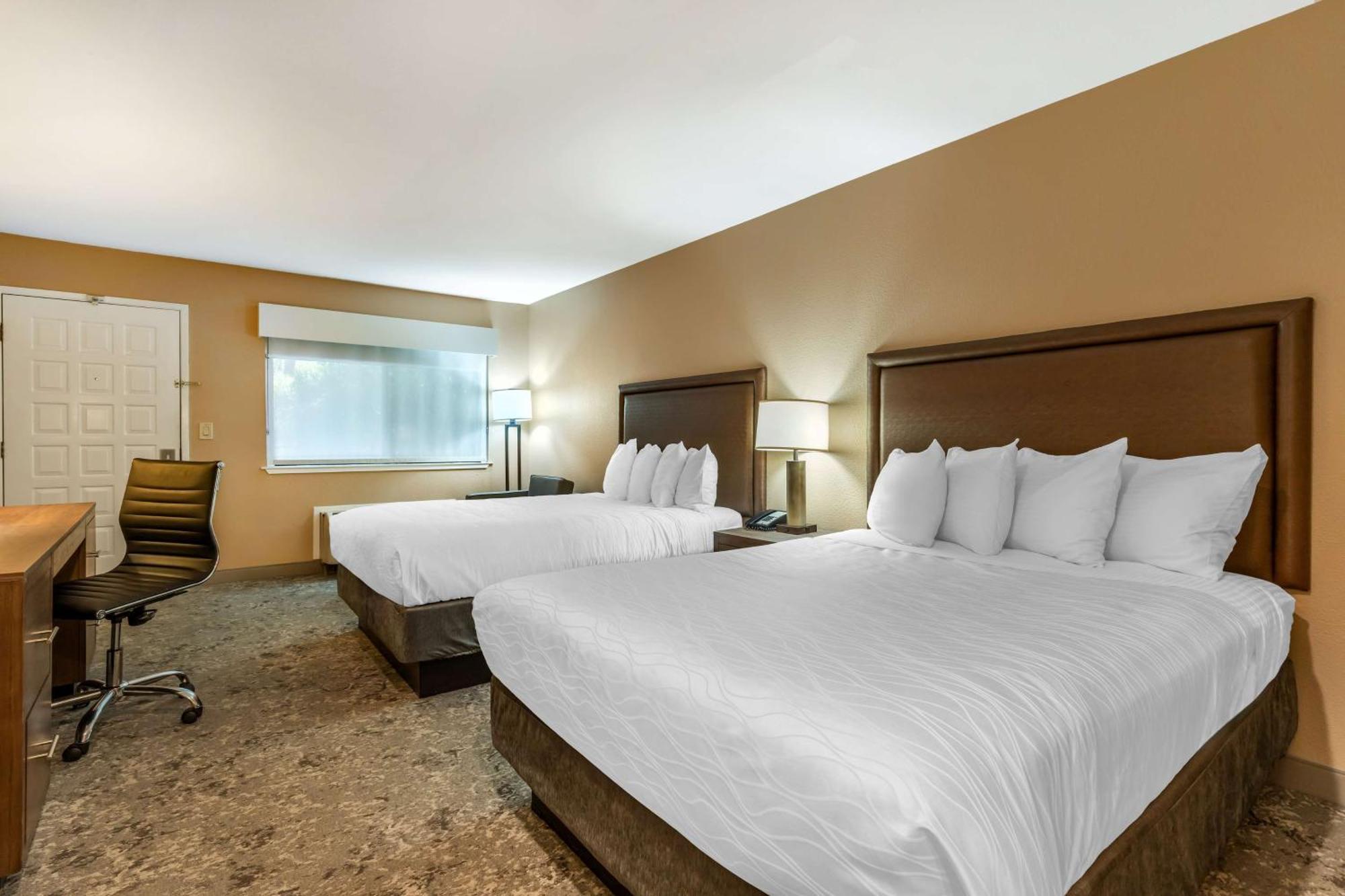 Queen Room with Two Queen Beds - Pet Friendly/Non-Smoking