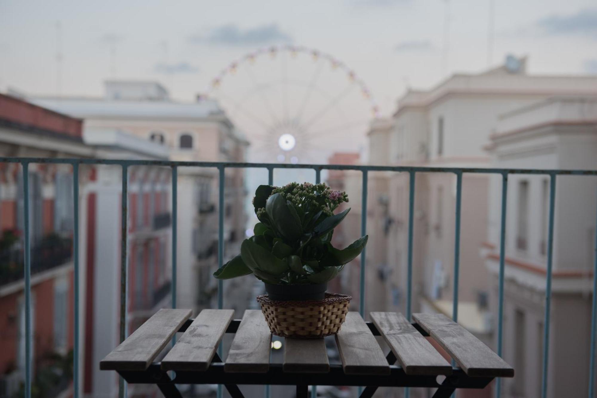 Apartment Sea View