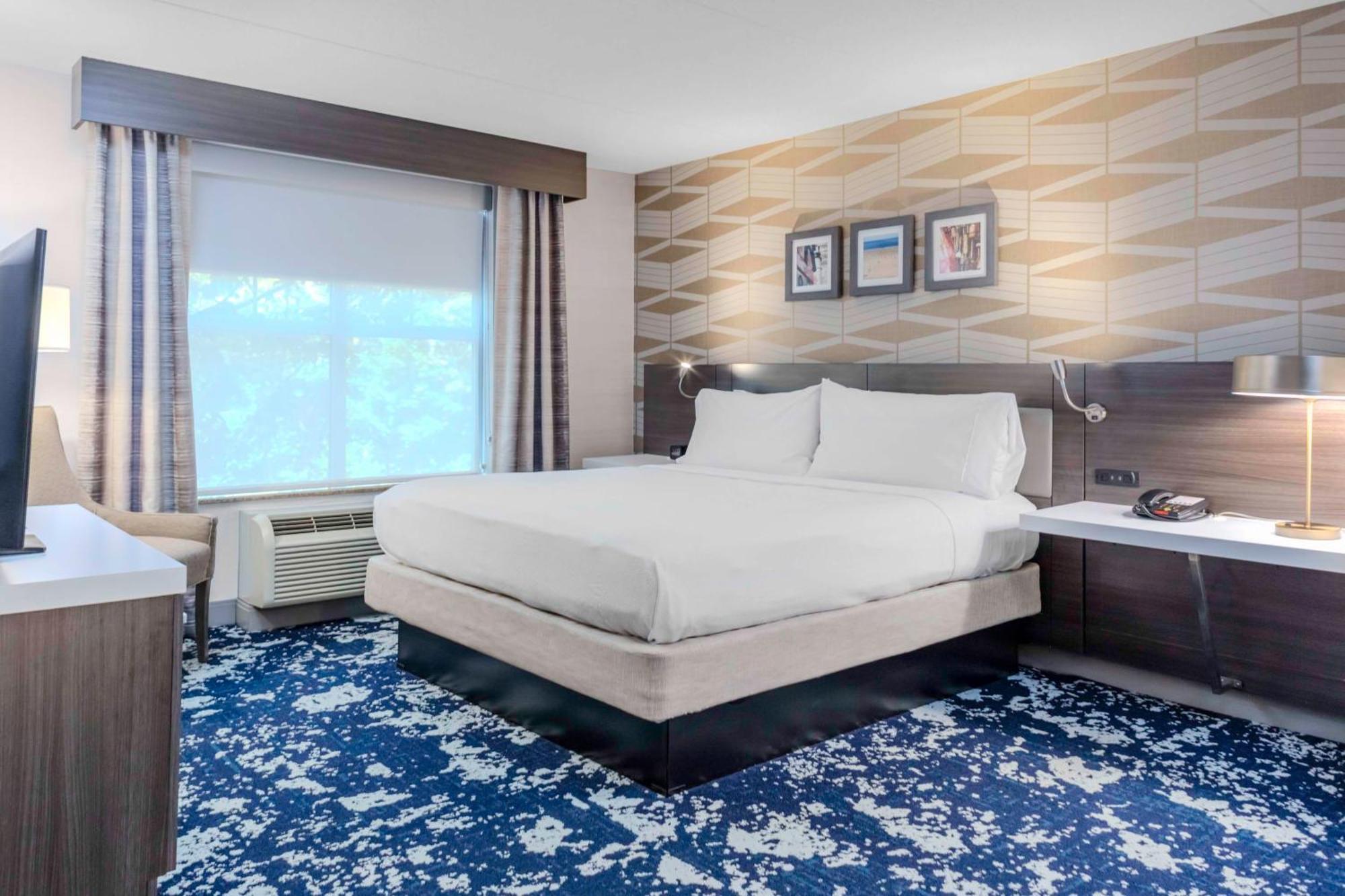 Premium One-Bedroom King Suite Sofa Bed
