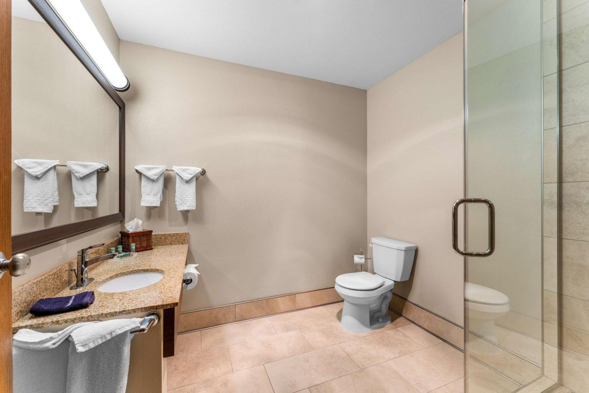 King Suite with Sofa Bed and Walk-In Shower - Non-Smoking