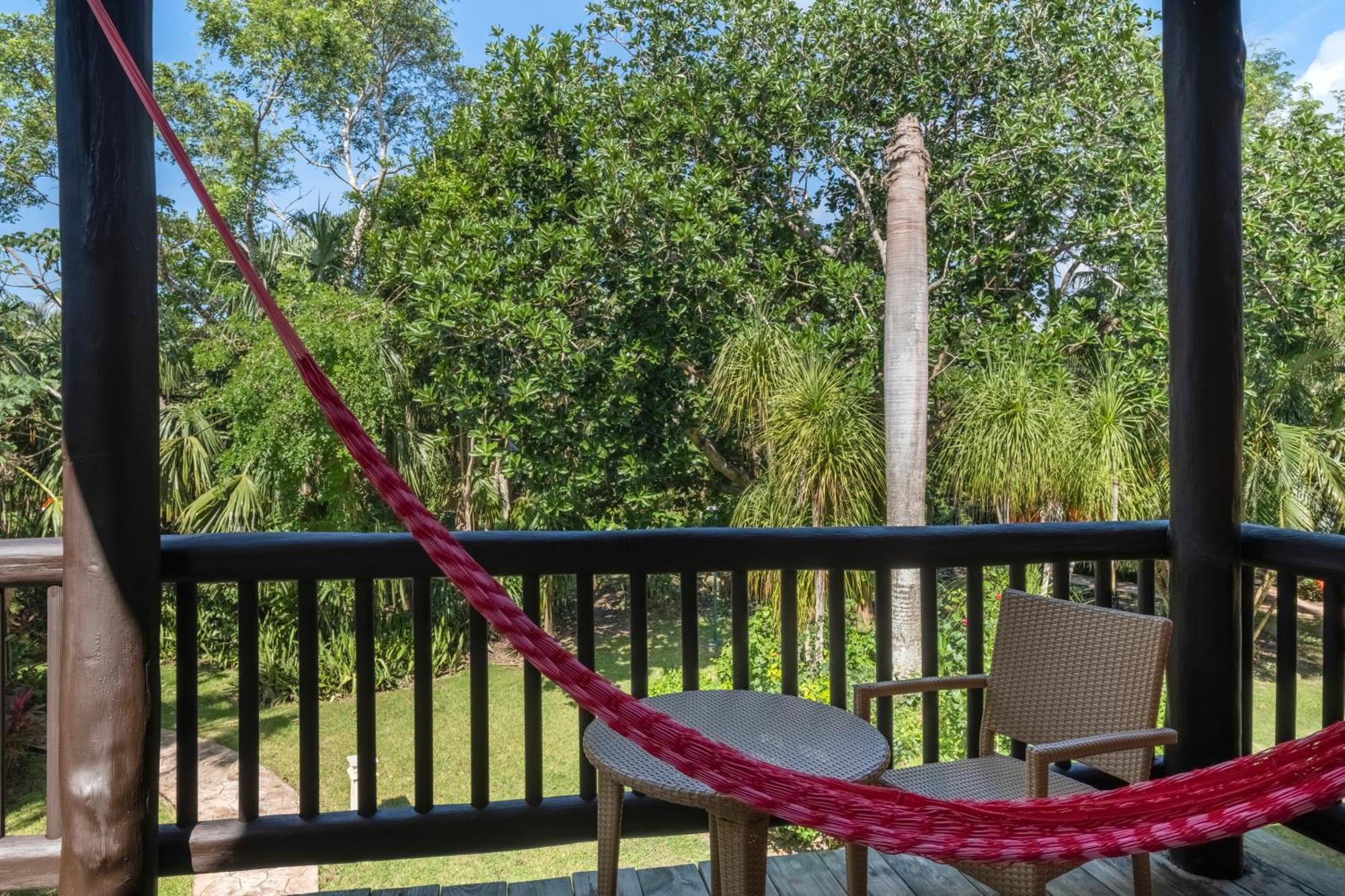 Premium Tropical View