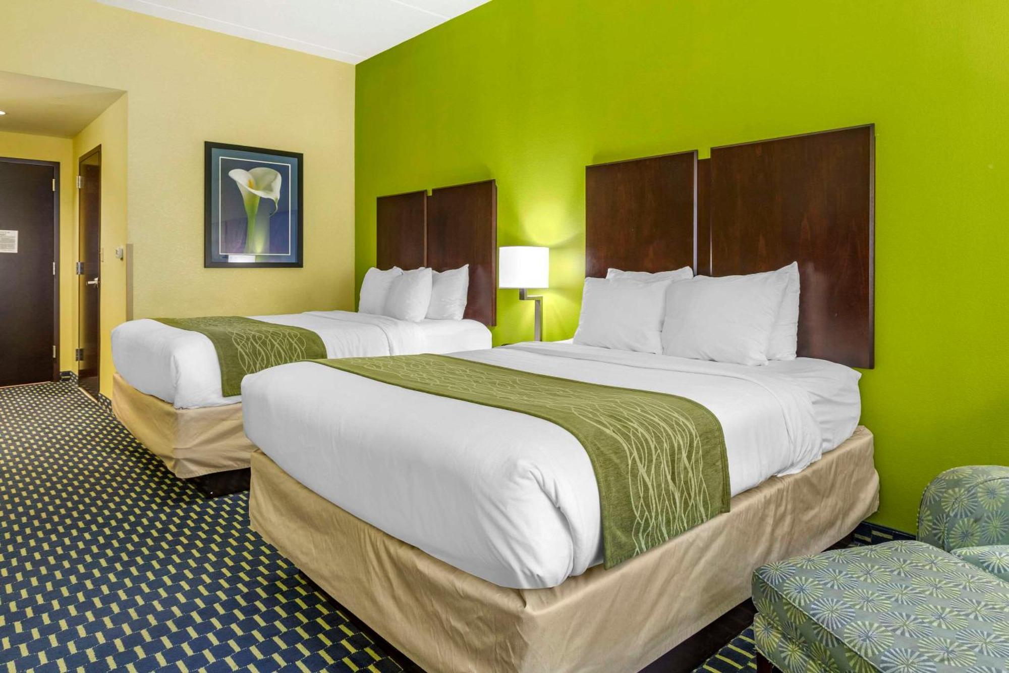 Queen Room with Two Queen Beds - Non-Smoking