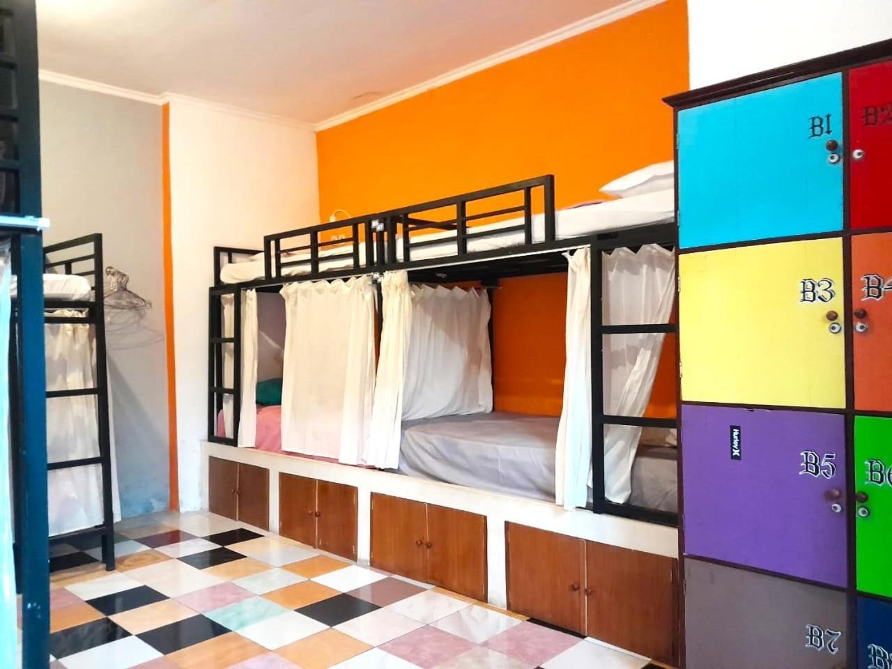 Bunk Bed Mixed Dormitory Room