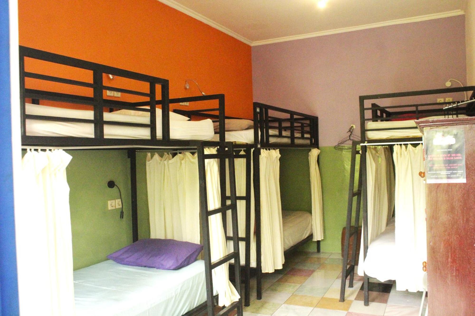 Bunk Bed Mixed Dormitory Room