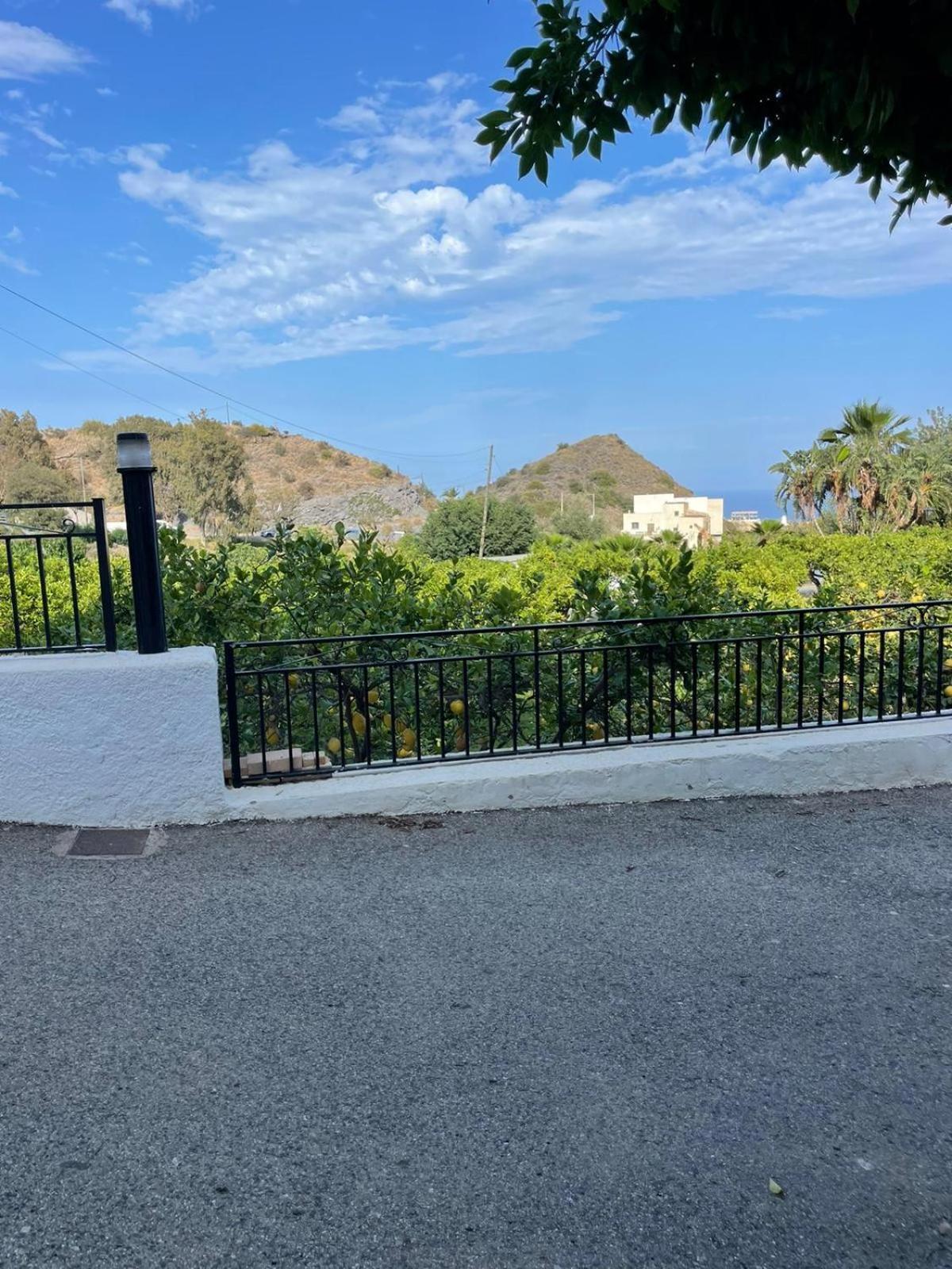 Junior Suite Garden View